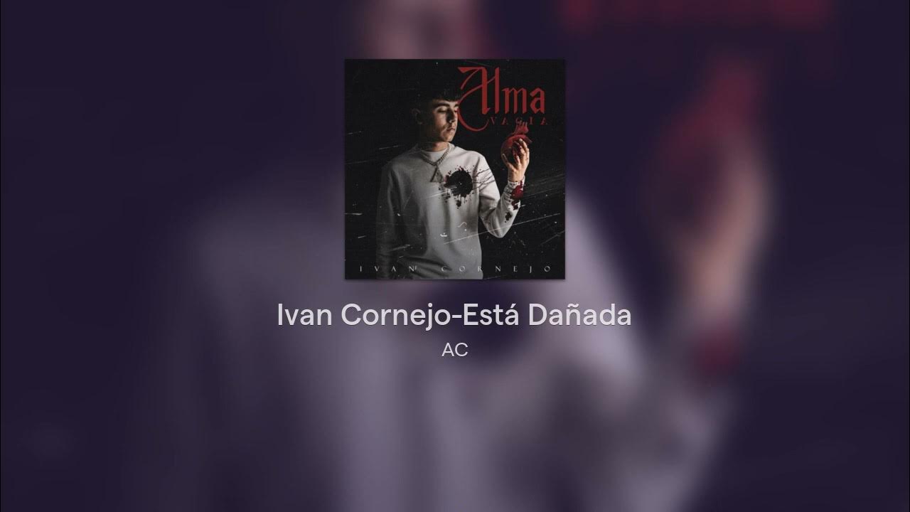 ENGLISH TRANSLATION OF ESTA DANADA visual data 4