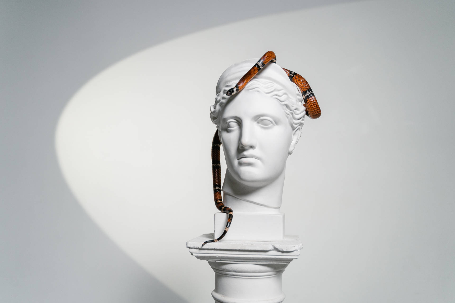 Download Snake On Head Sculpture Wallpaper