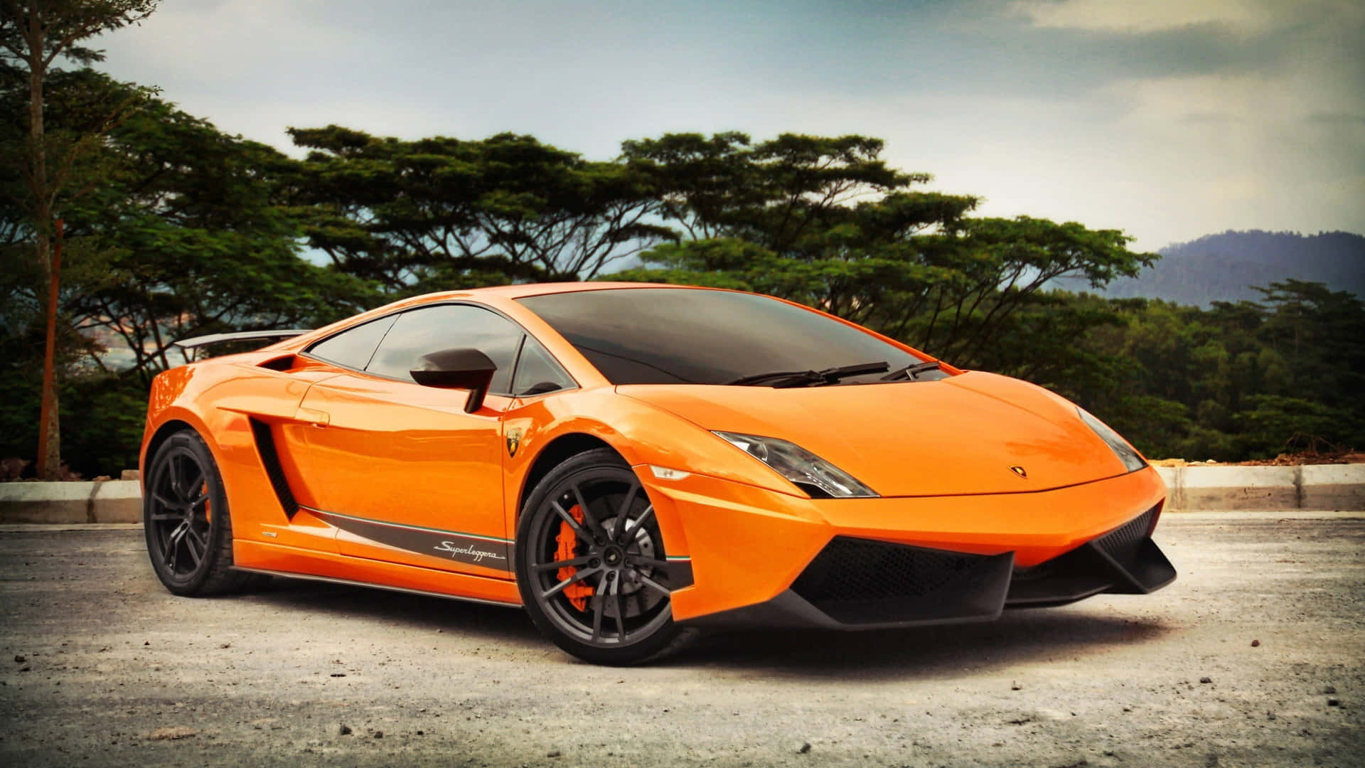 Download Sleek Lamborghini Gallardo in Motion Wallpaper