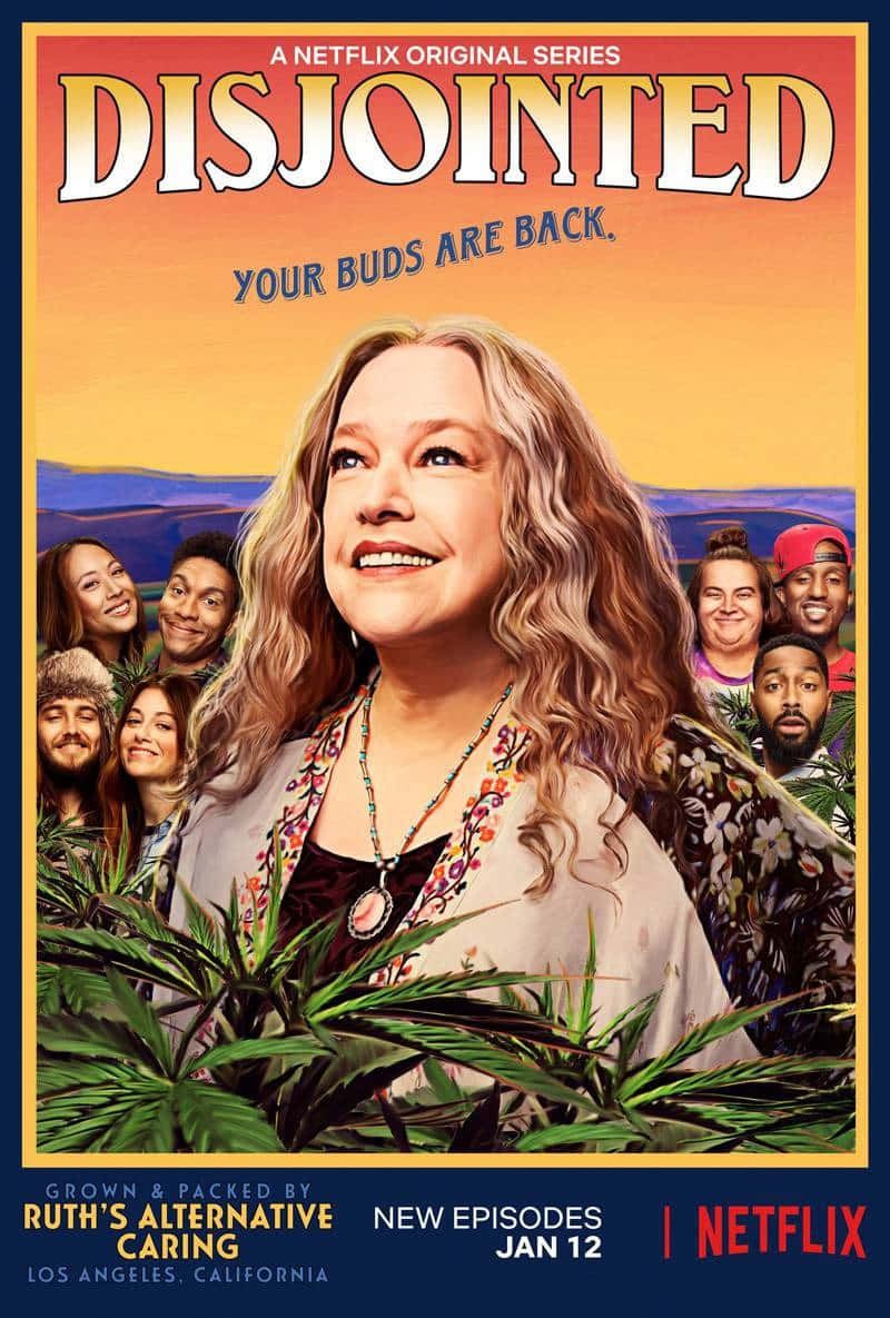 Download Disjointed Tv Poster Wallpaper