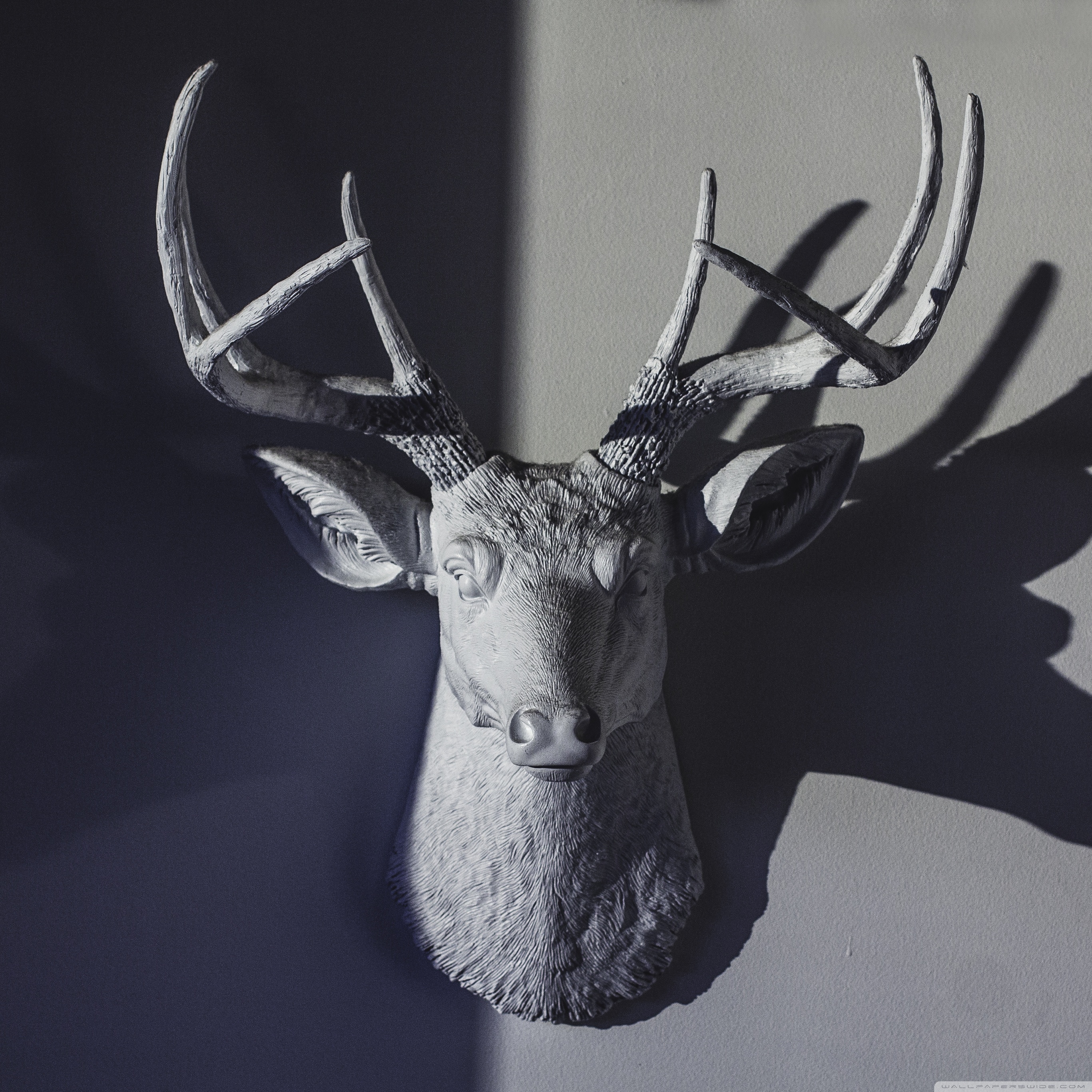 Deer Head Sculpture Ultra HD Desktop Background Wallpaper for 4K UHD TV, Widescreen & UltraWide Desktop & Laptop, Tablet