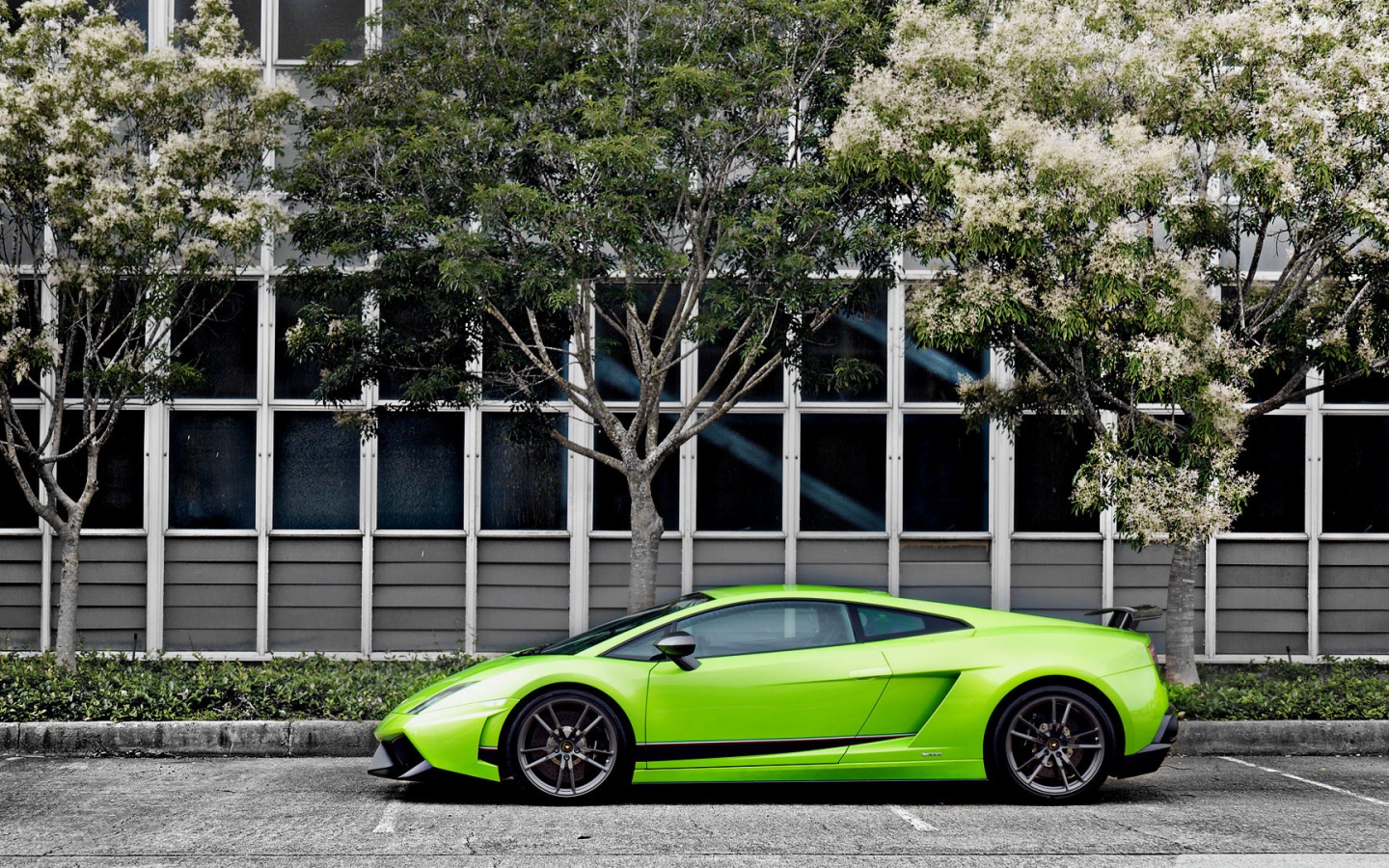 Green Lamborghini Gallardo Superleggera Ultra HD Desktop Background Wallpaper for 4K UHD TV, Widescreen & UltraWide Desktop & Laptop, Tablet