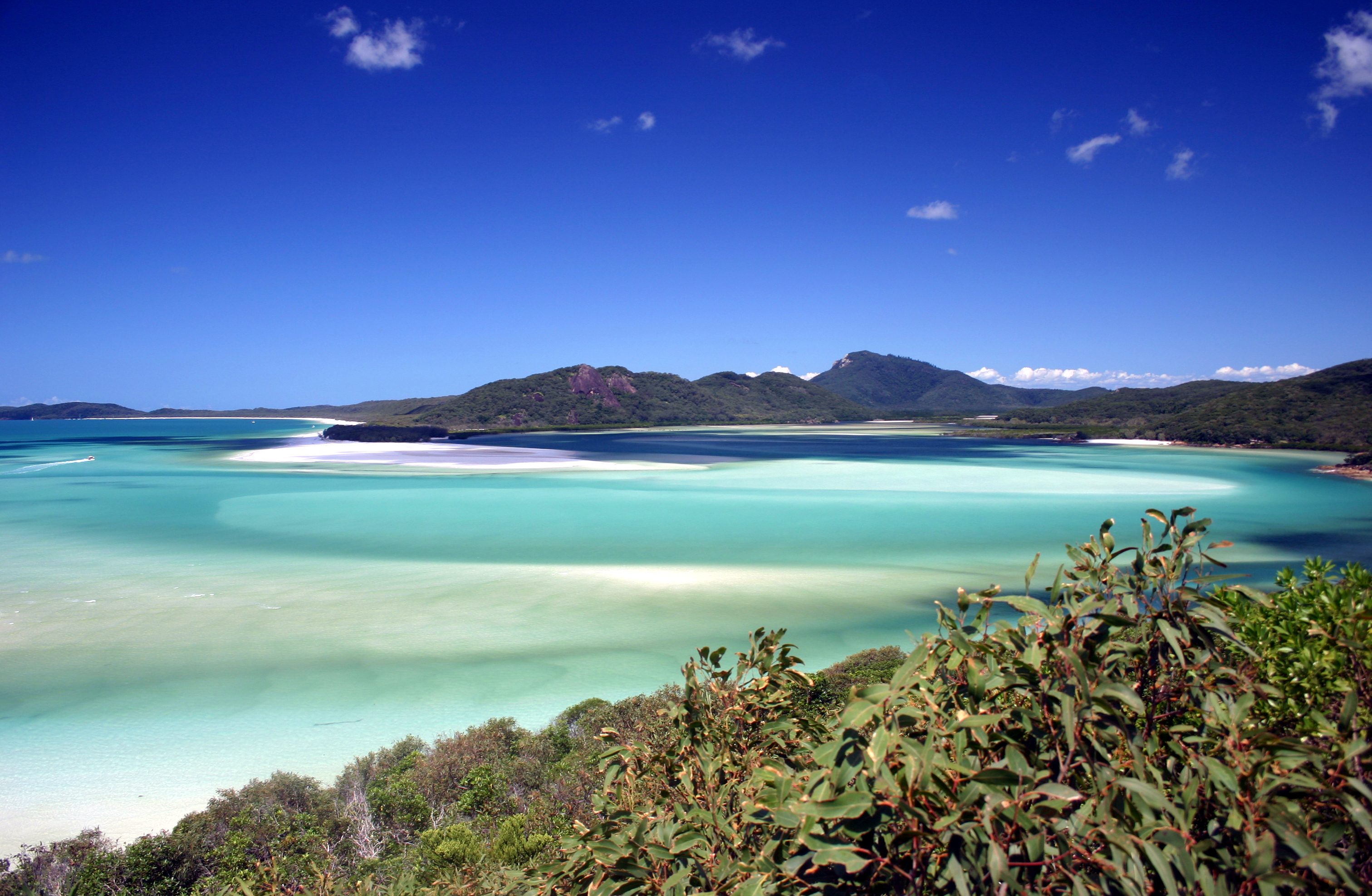 Whitsunday Island Beach