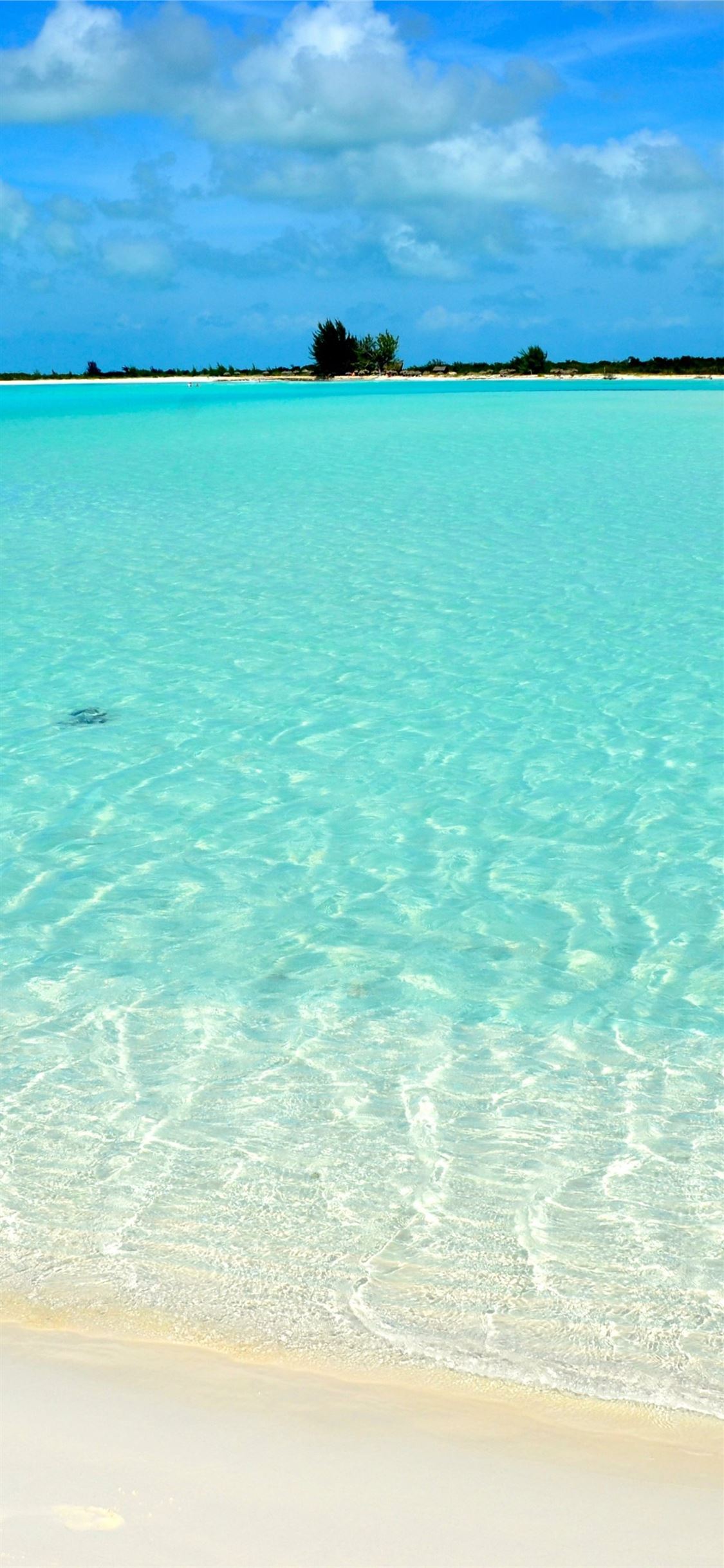 Whitehaven Beach iPhone Wallpaper Free Download