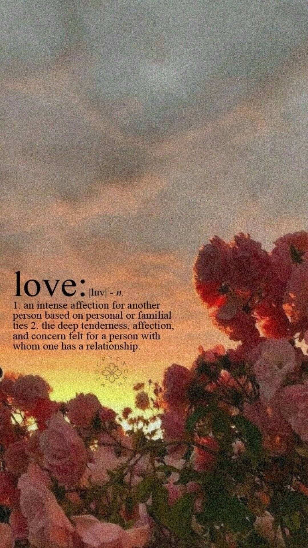 Download Love Aesthetic Definition Wallpaper