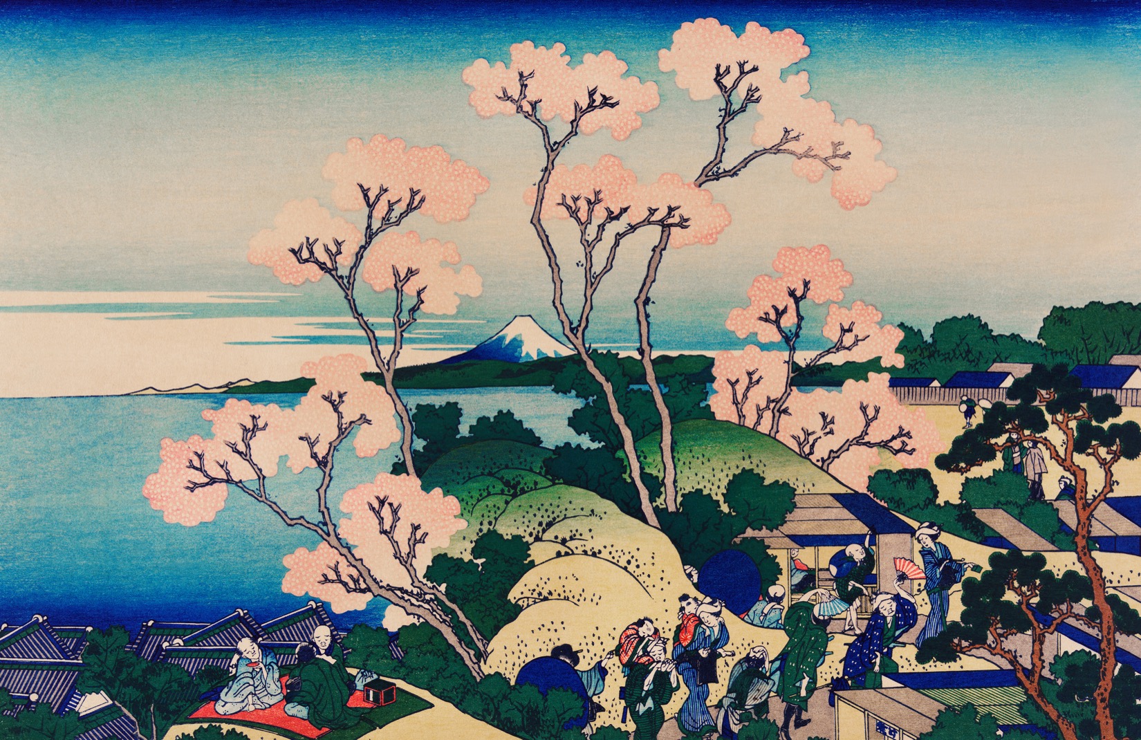 Japanese Cherry Blossom Tree Wallpaper Mural