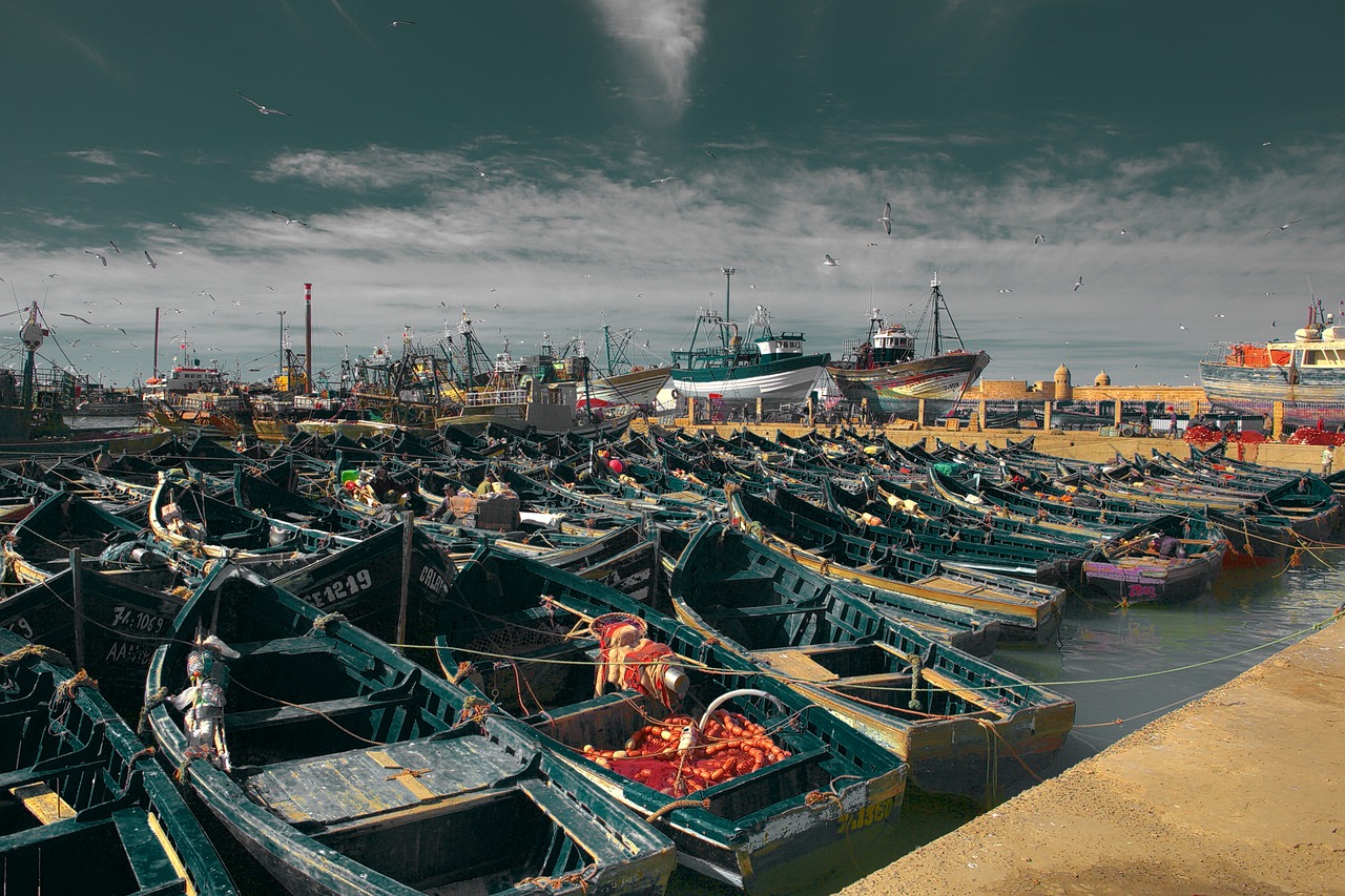 Free Essaouira & Morocco Image