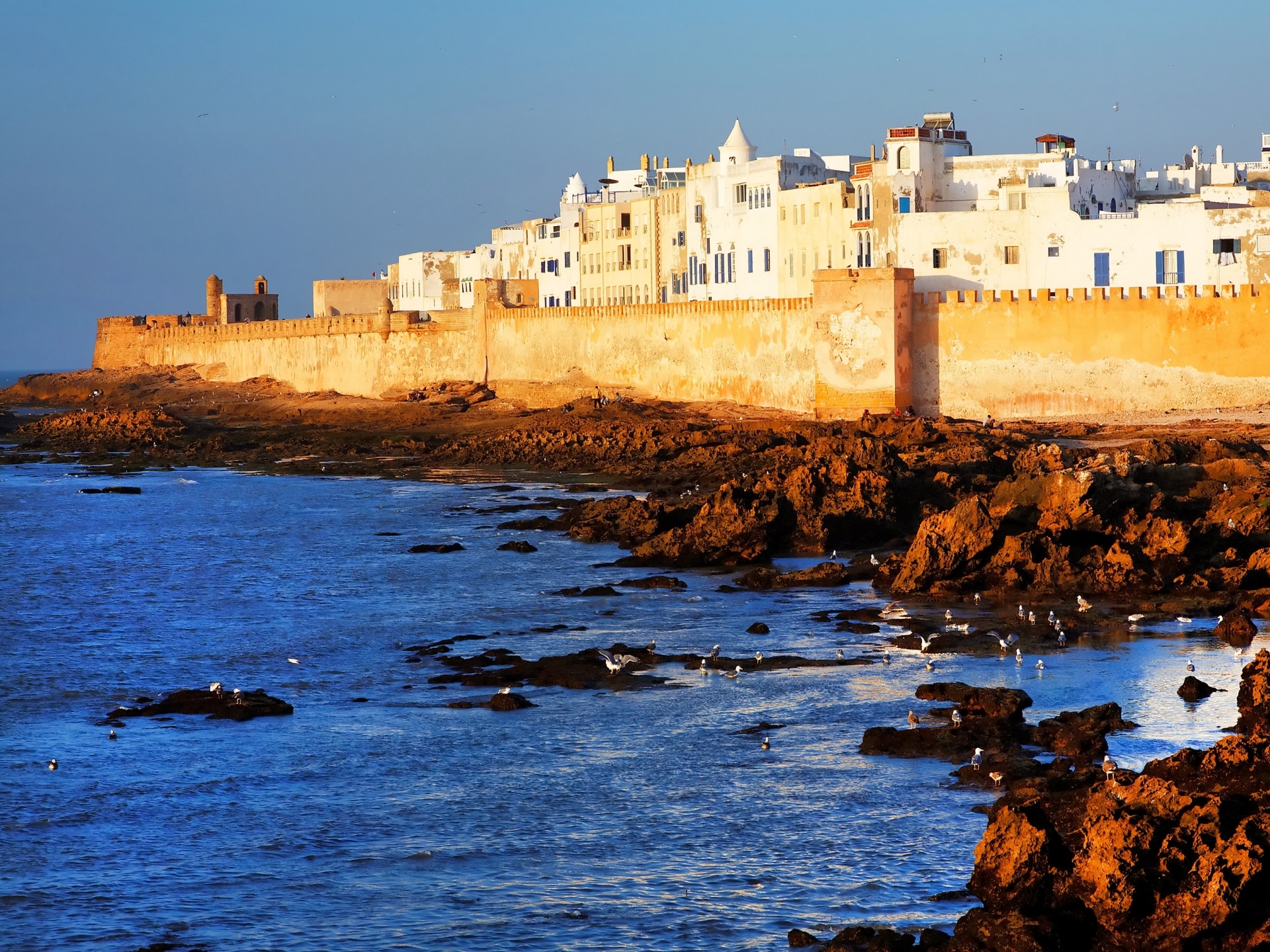 Essaouira.taxi's Photo