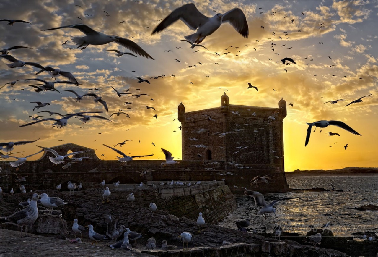 Download Sqala Du Port D'essaouira wallpaper for mobile phone, free Sqala Du Port D'essaouira HD picture
