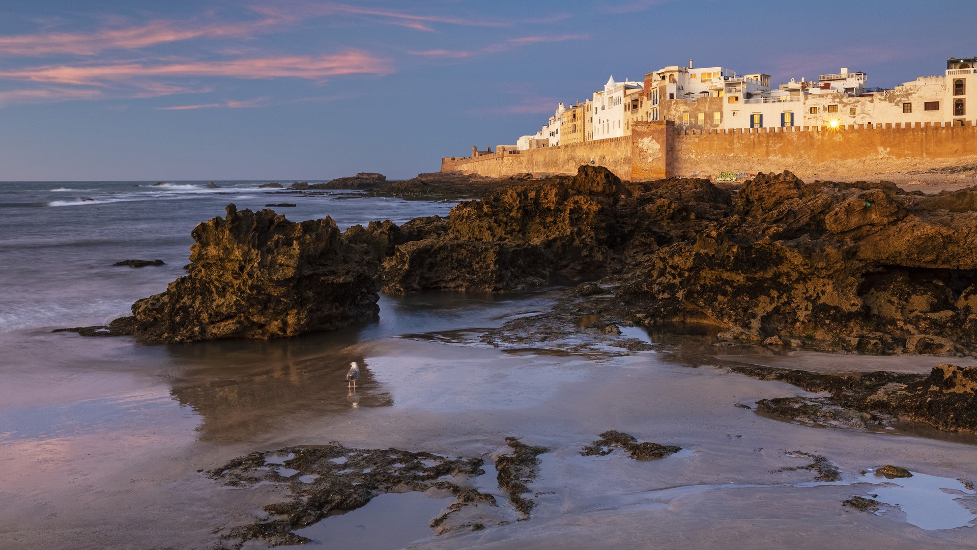 View of the old town at dusk on the Atlantic coast, Essaouira, Mogador, Morocco. Windows Spotlight Image