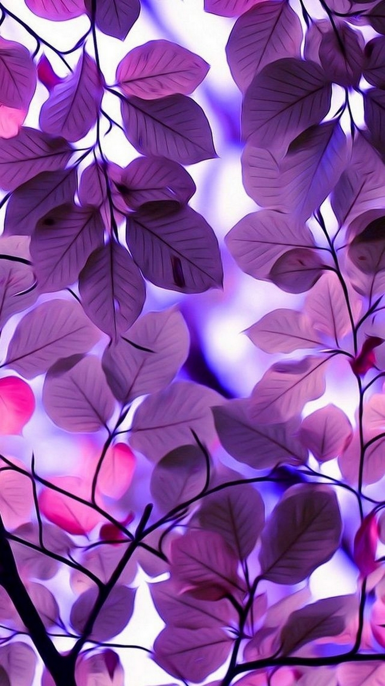 Pretty Beautiful Wallpaper For IPhone