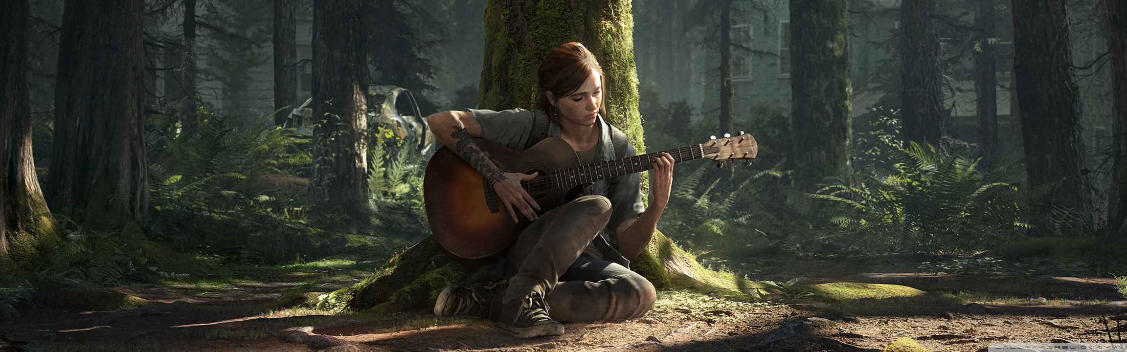 The Last of Us Part II Ellie Ultra HD Desktop Background Wallpaper for: Widescreen & UltraWide Desktop & Laptop, Multi Display, Dual Monitor, Tablet