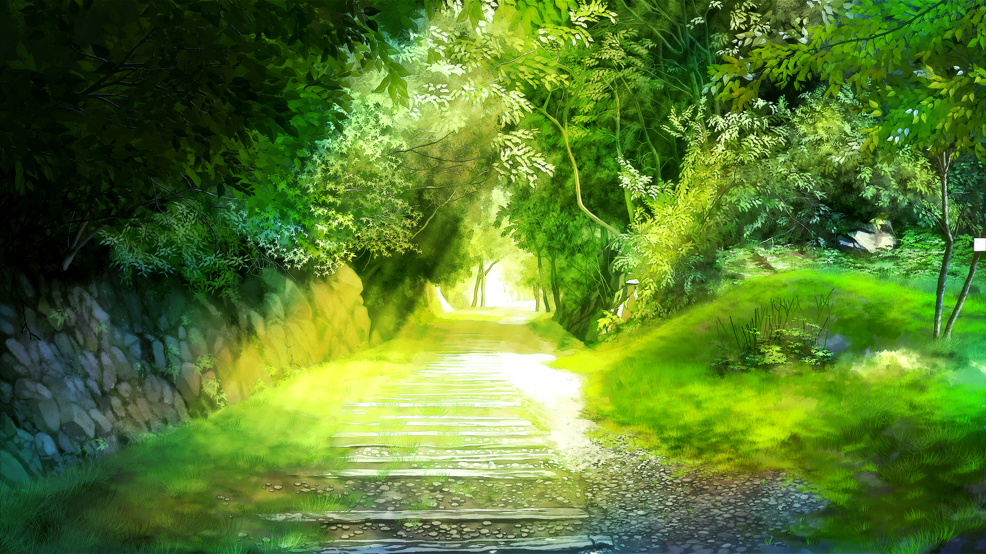Image Rays of light okura miyuki Trail Nature Forests 1920x1080