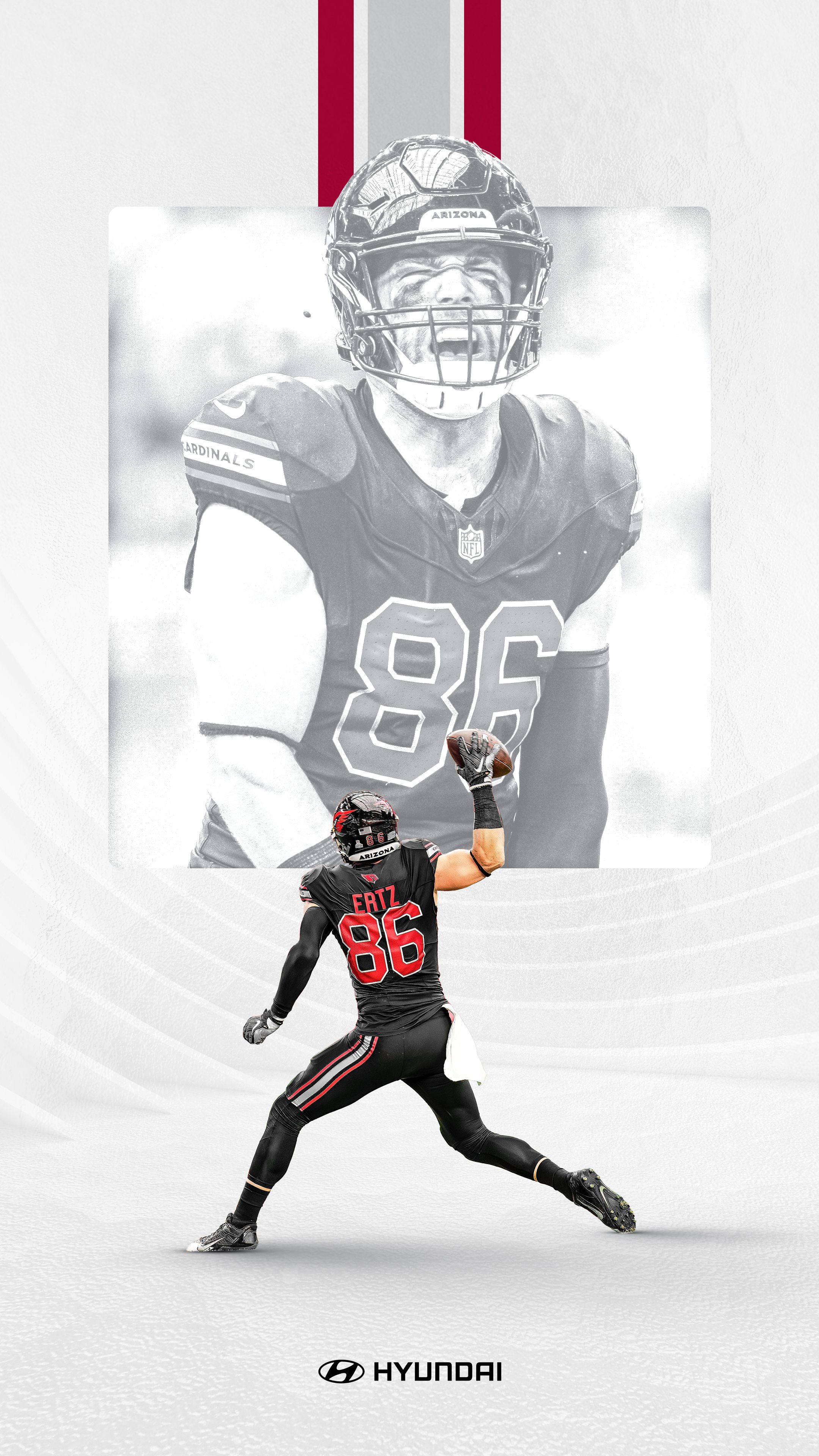 Arizona Cardinals Photo