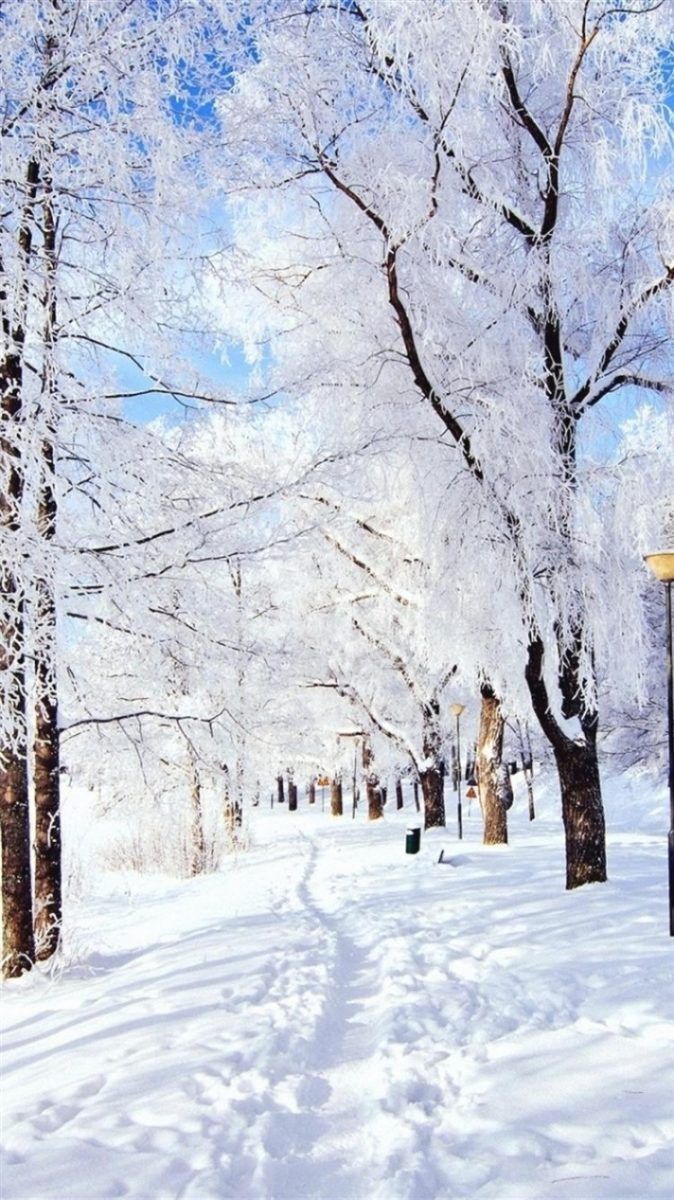 Winter iPhone Wallpaper to Spice Up Your Phone. Winter snow wallpaper, Winter wallpaper, Free winter wallpaper