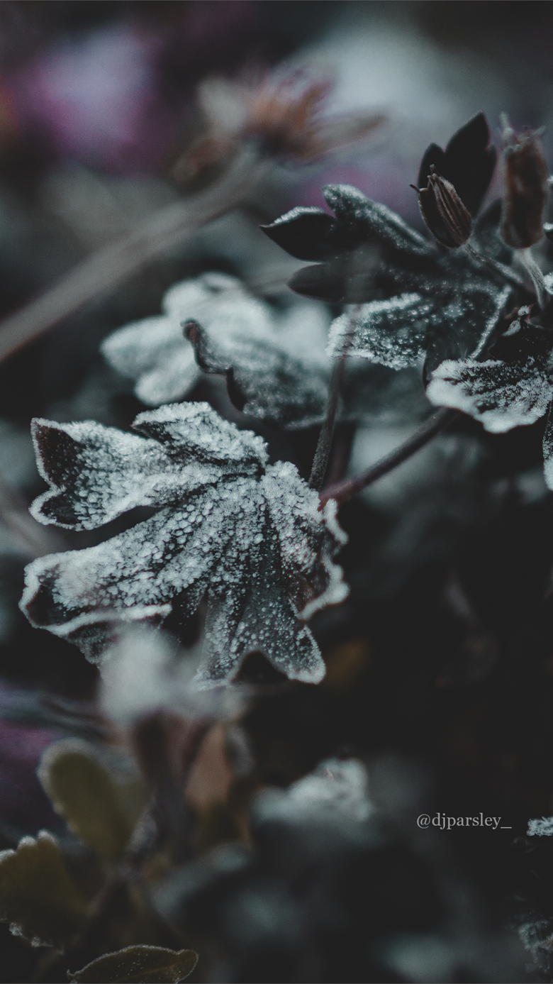 Winter Phone Wallpaper Parsley's Ko Fi Shop Fi ❤️ Where Creators Get Support From Fans Through Donations, Memberships, Shop Sales And More! The Original 'Buy Me A Coffee' Page