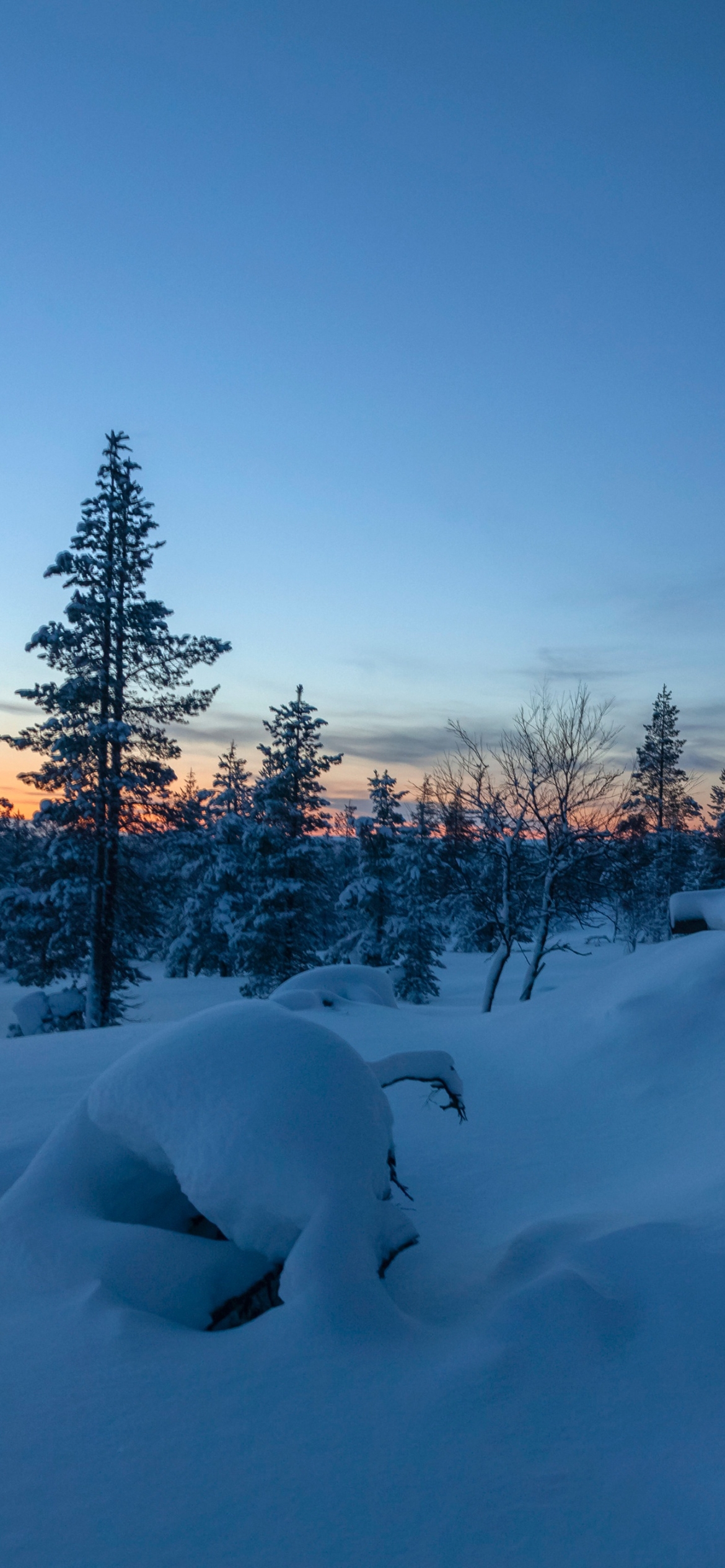 Winter Phone Wallpaper