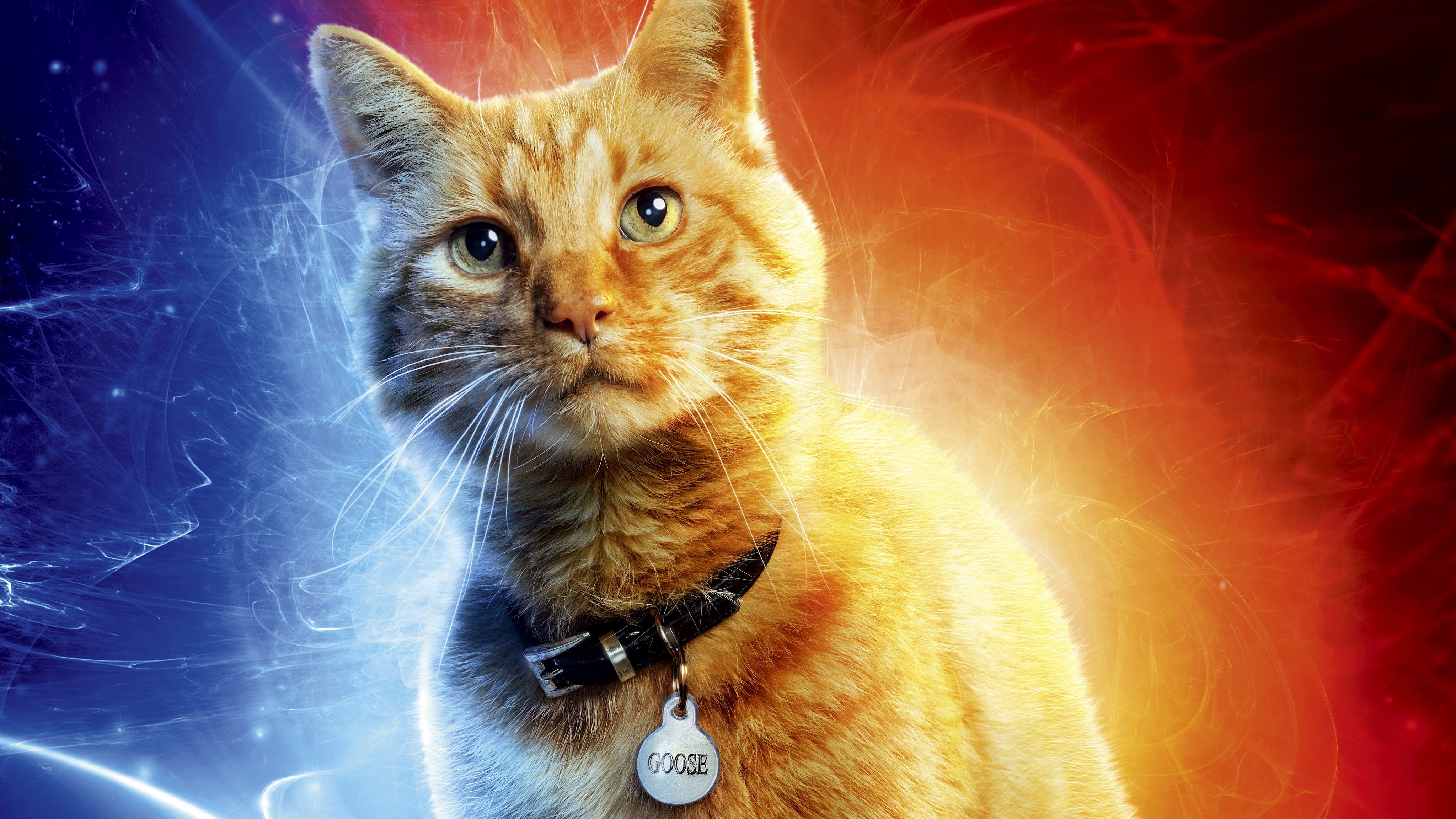 Captain Marvel Movie Goose the Cat 8K Wallpaper