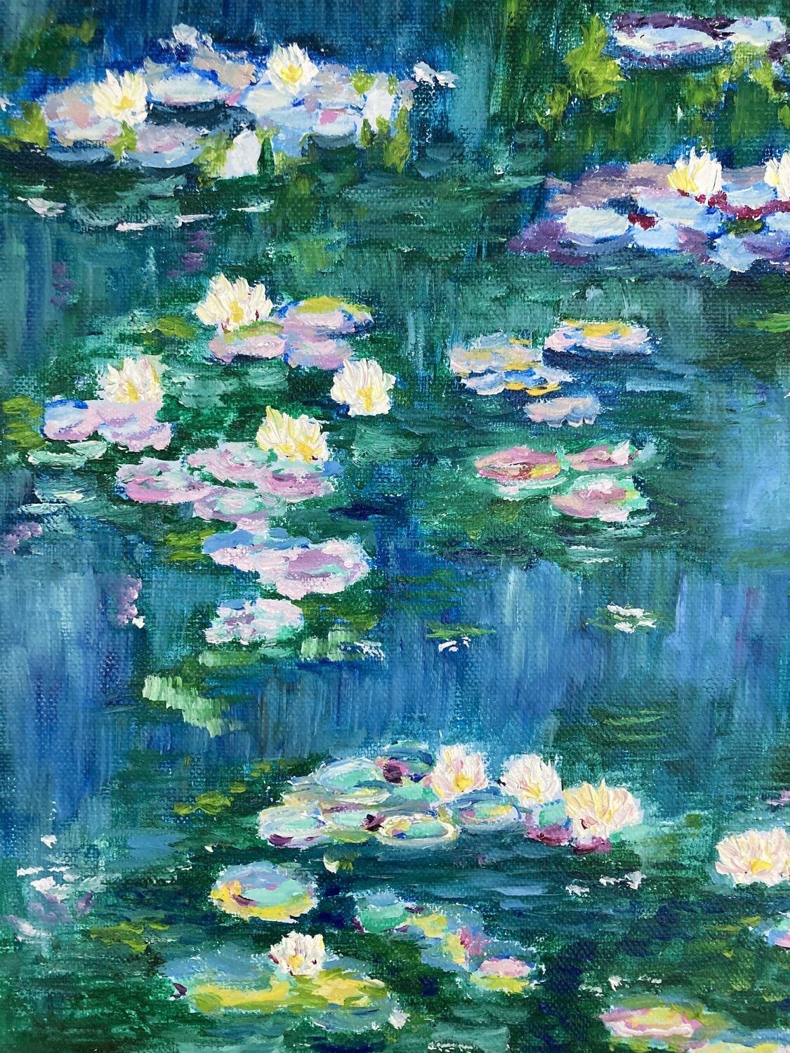 water lilies