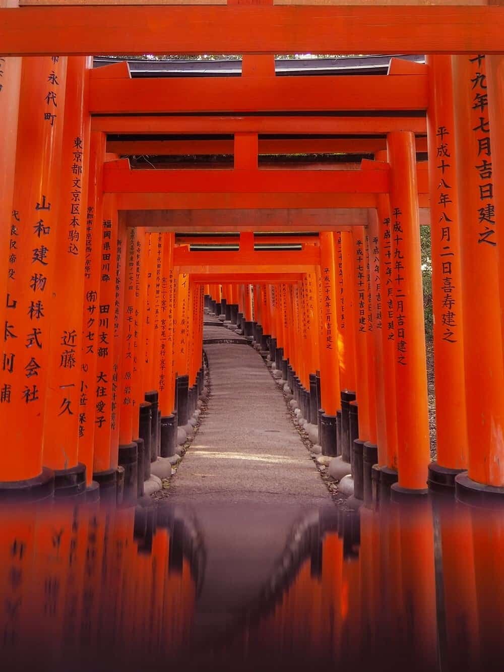 Fushimi Inari Shrine Kyoto