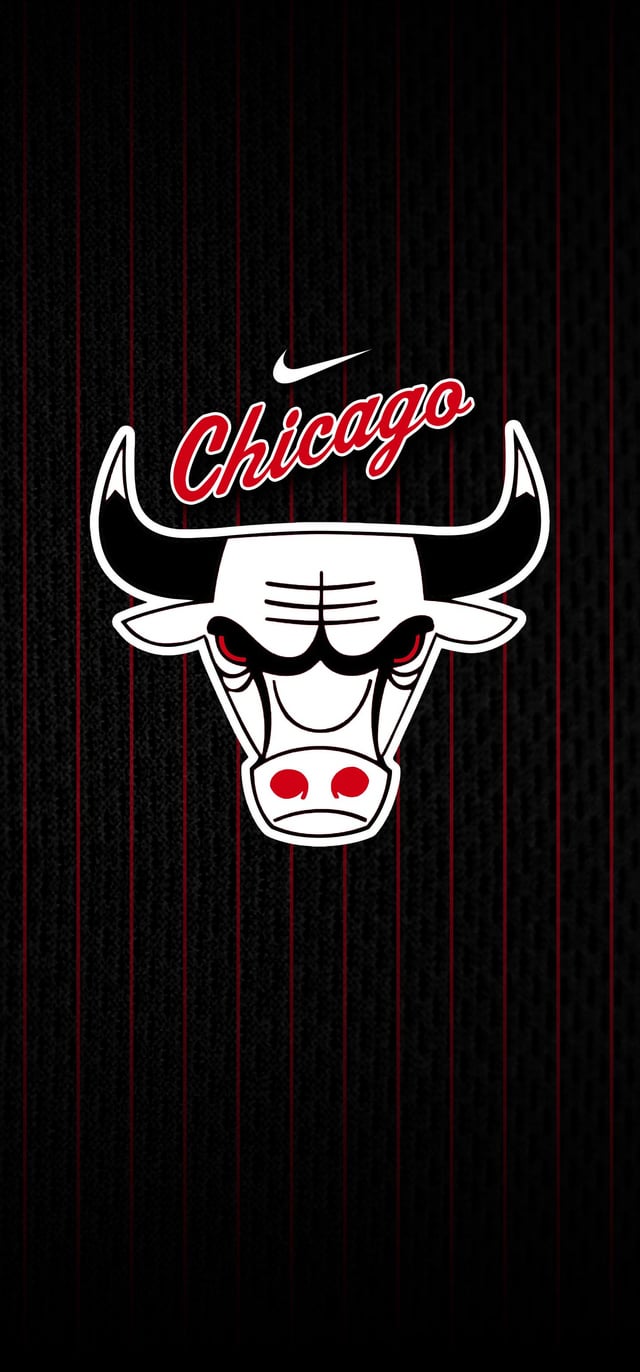 All New Bulls Wallpaper