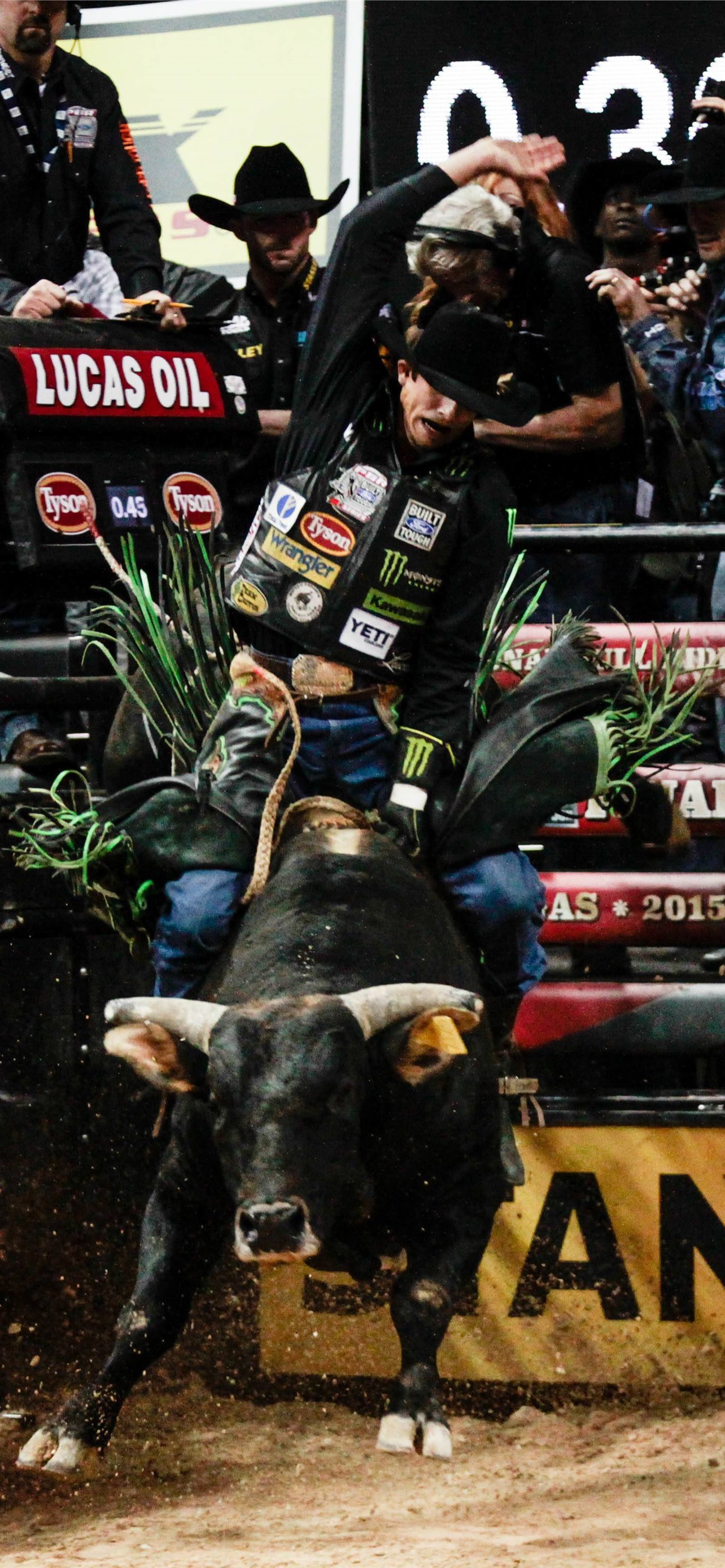 Best Bull riding iPhone HD Wallpaper