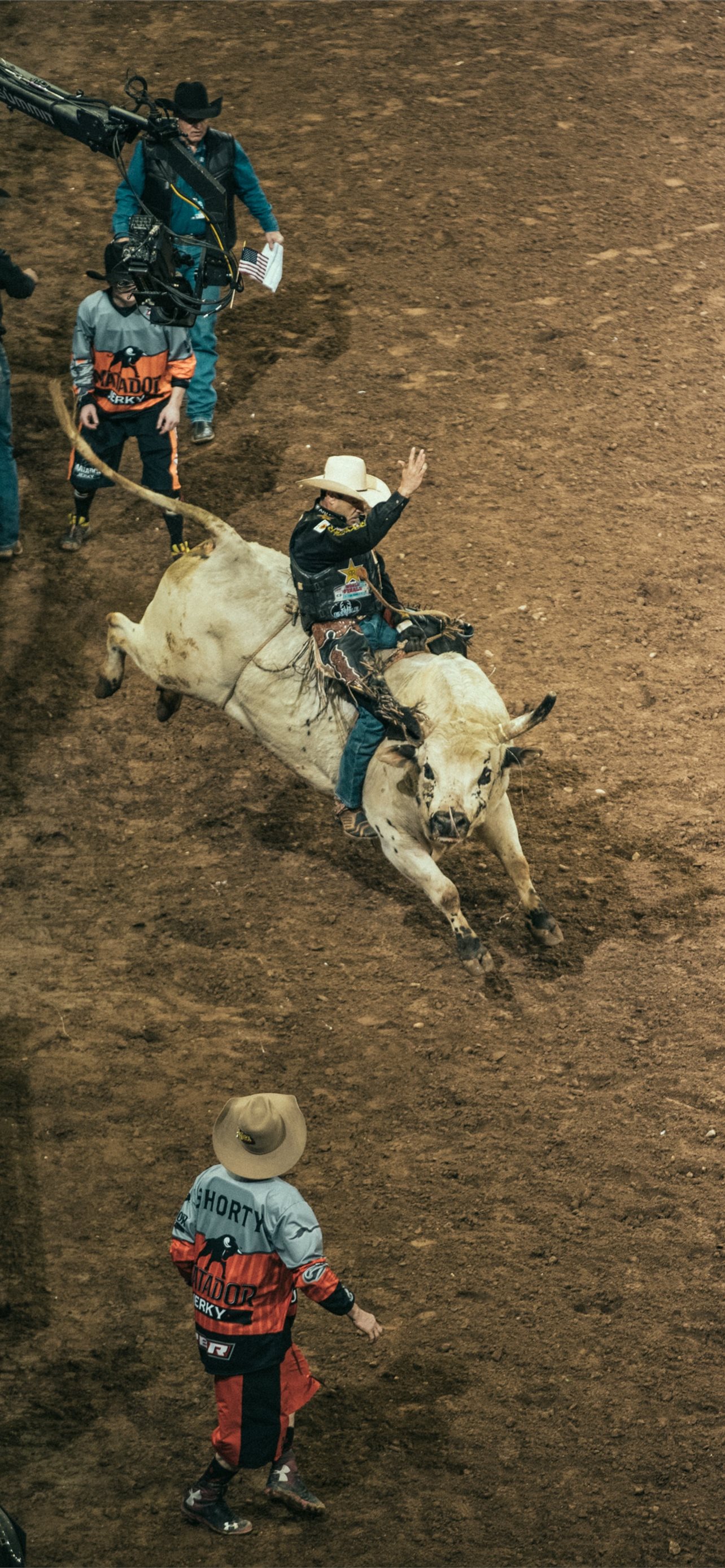 bull riding iPhone Wallpaper Free Download