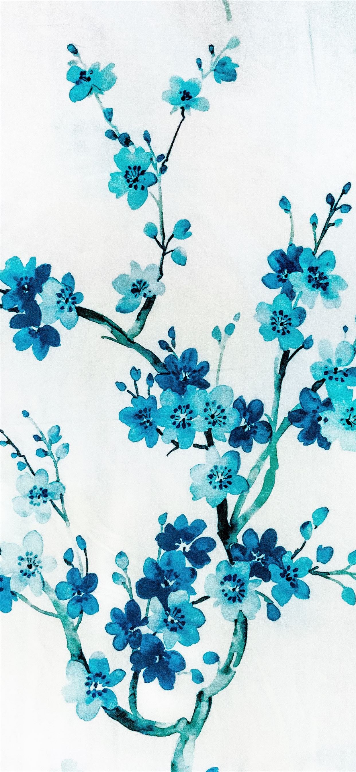 Blue flowers with white background iPhone 11 Wallpaper Free Download