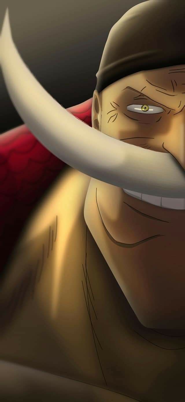 Whitebeard iPhone Wallpapers Wallpaper Cave