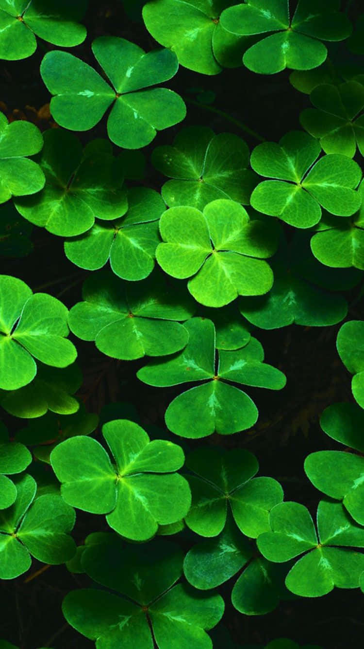 Download Vibrant St. Patrick's Day Wallpaper