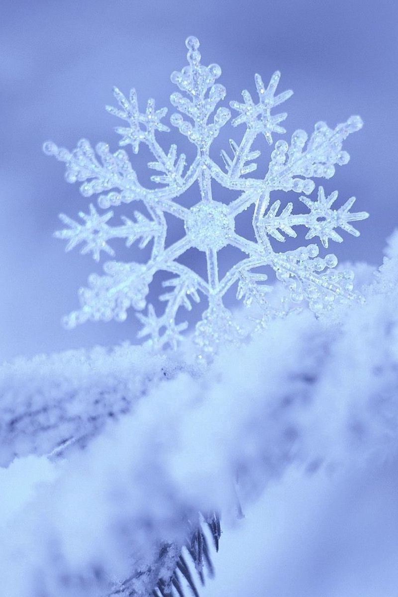 Download Wallpaper 800x1200 Snow, Snowflake, Winter, Form, Pattern Iphone 4s 4 For Parallax HD Background
