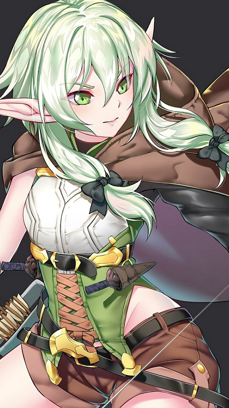Download wallpaper 750x1334 anime, high elf, archer, goblin slayer, iphone 7, iphone 8, 750x1334 HD background, 17917