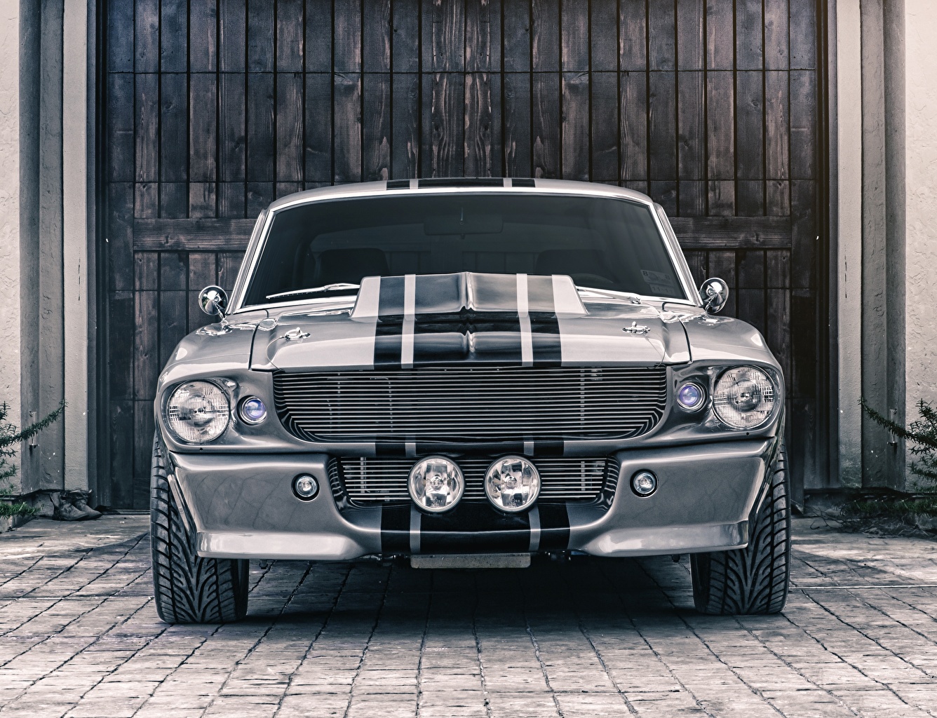 Desktop Wallpaper Ford Mustang Shelby
