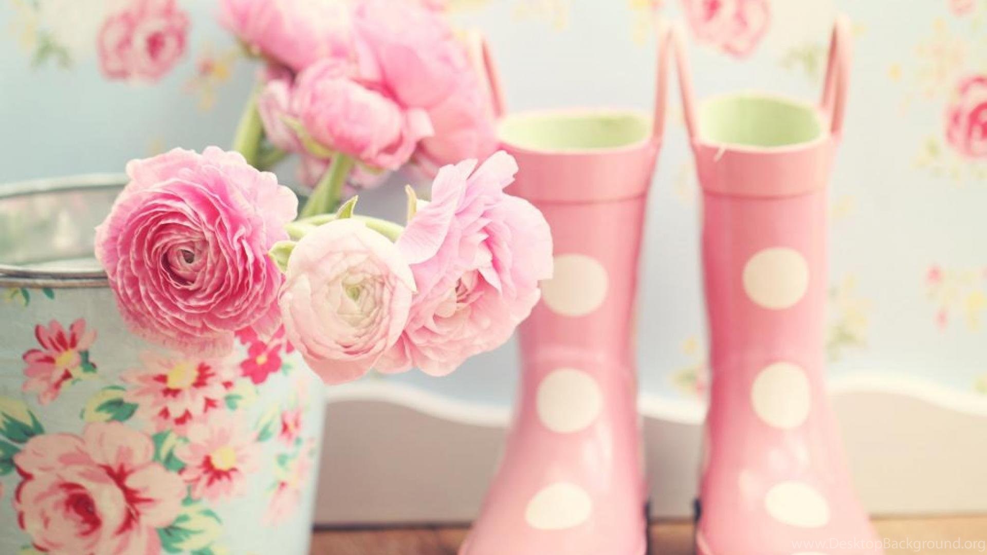 girly wallpaper hd, pink, flower, footwear, plant, vase