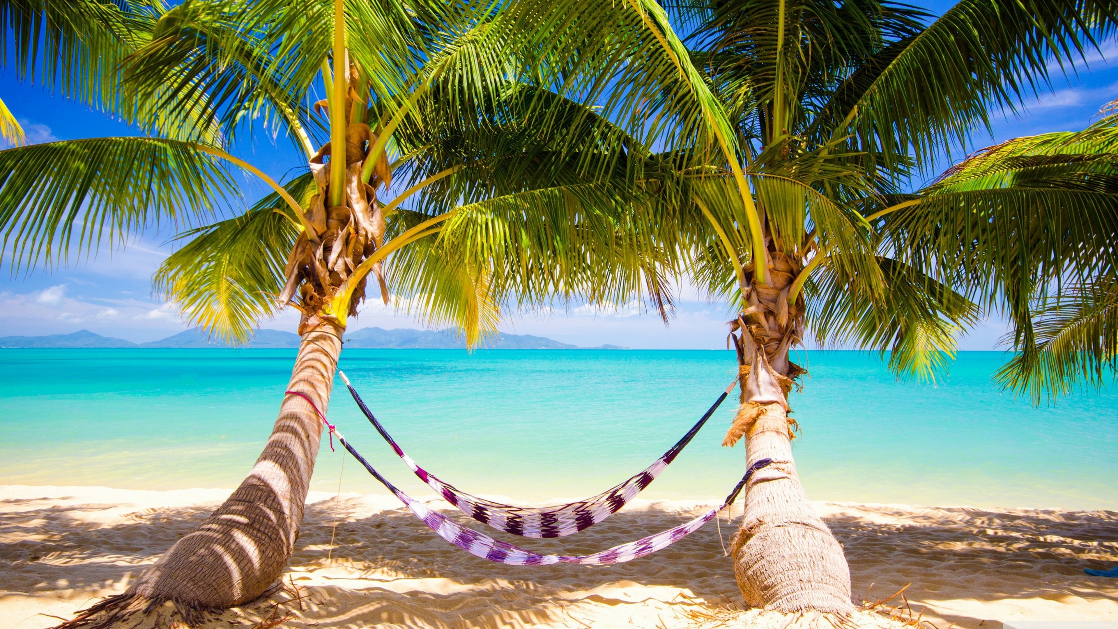 Tropical Beach Hammock Ultra HD Desktop Background Wallpaper for 4K UHD TV, Widescreen & UltraWide Desktop & Laptop, Tablet