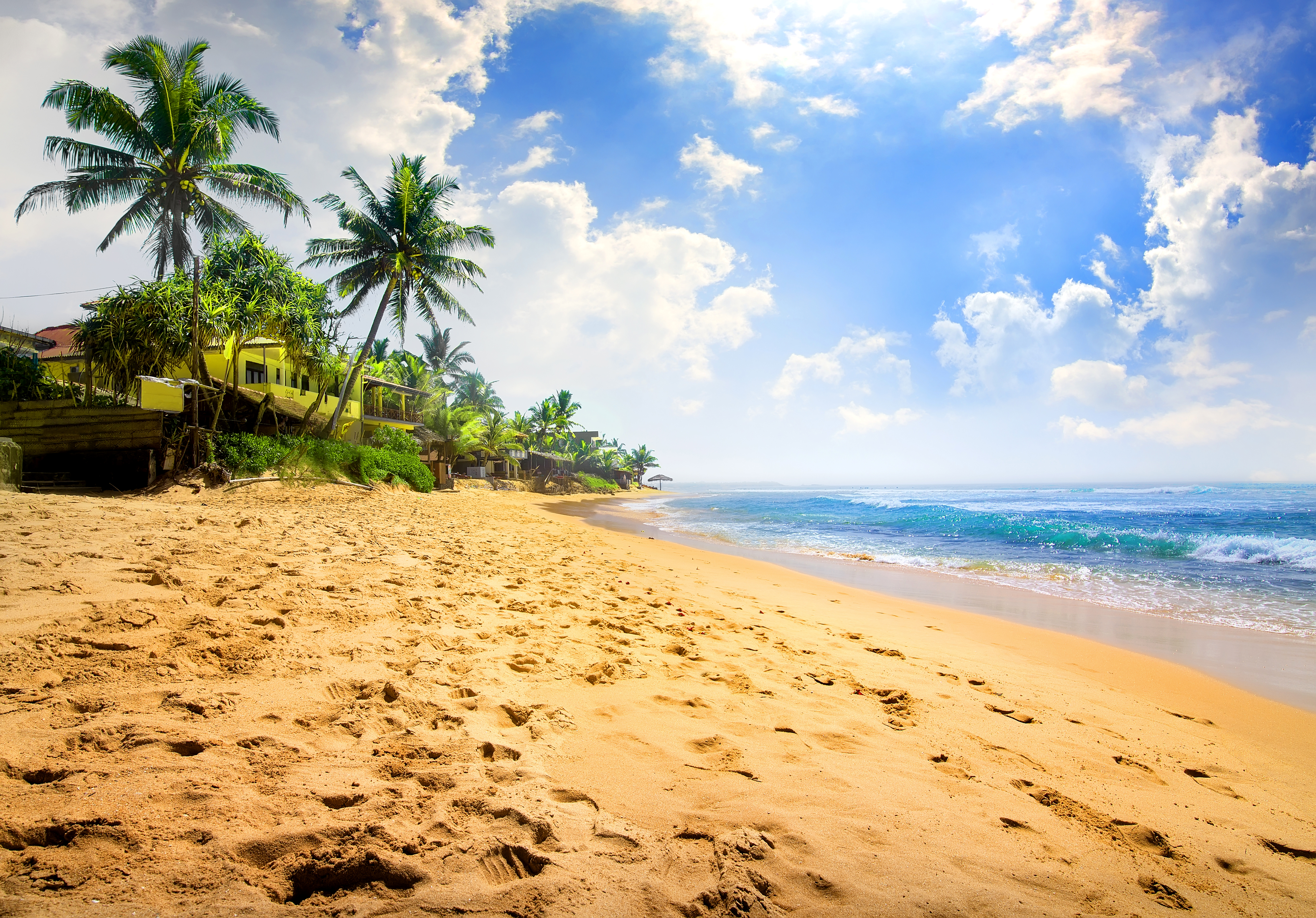 Houses on Tropical Beach