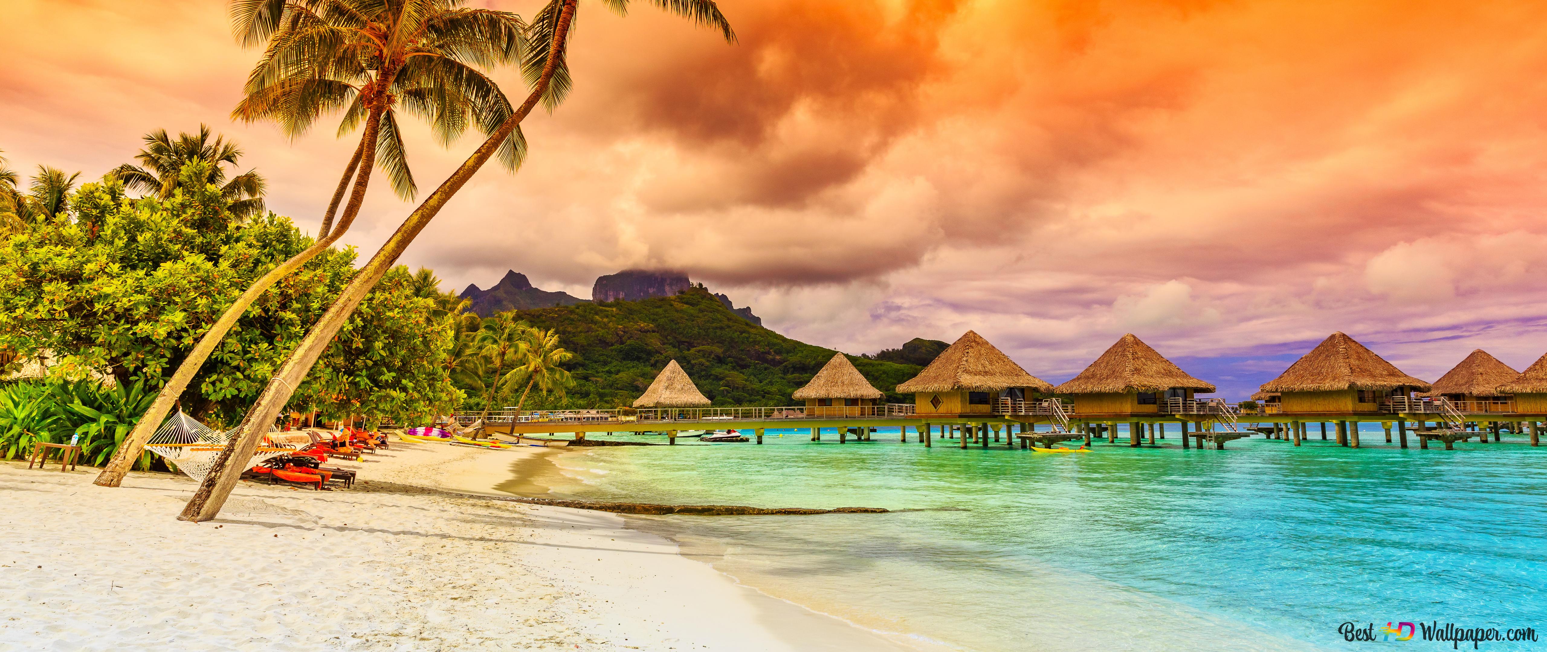 Tropical Sea Beach 4K wallpaper download