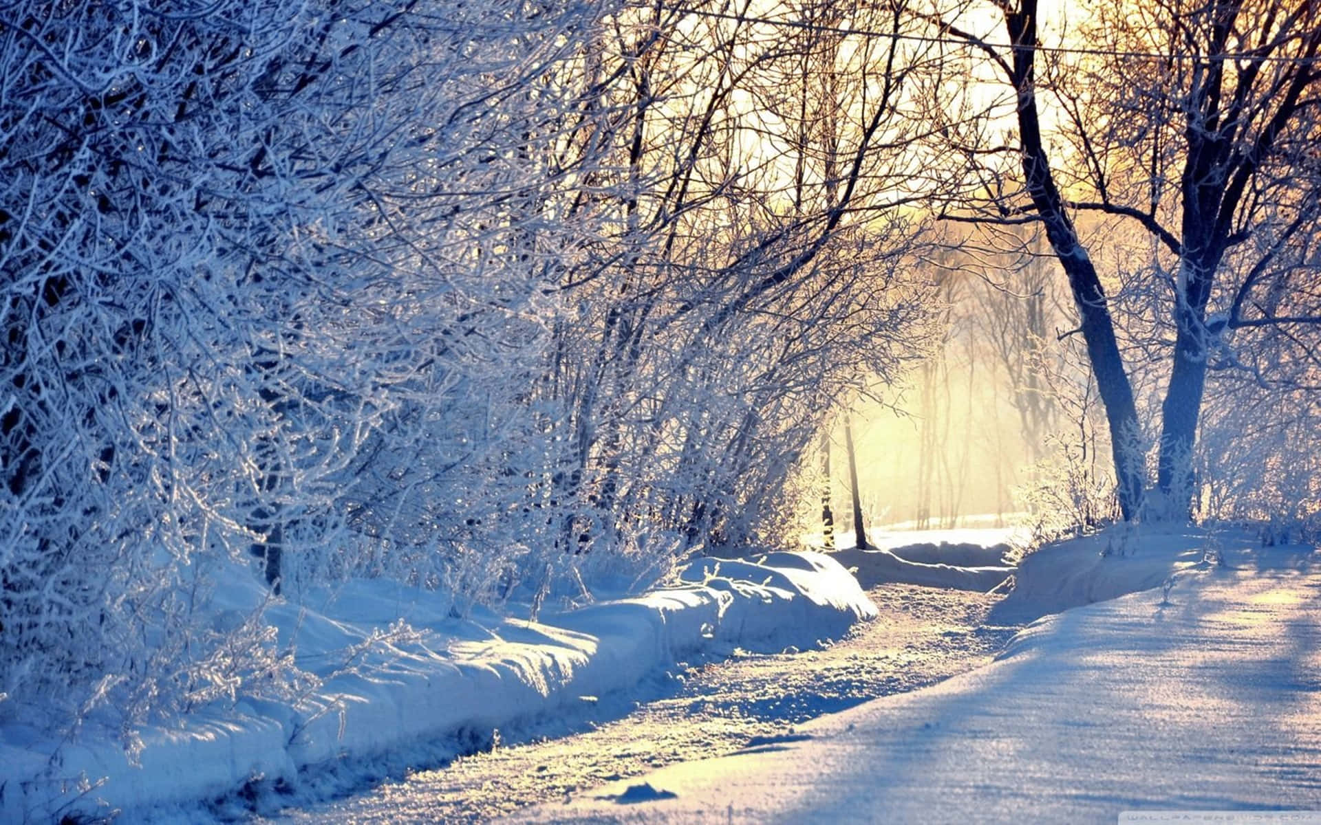 Snow 4k Wallpaper
