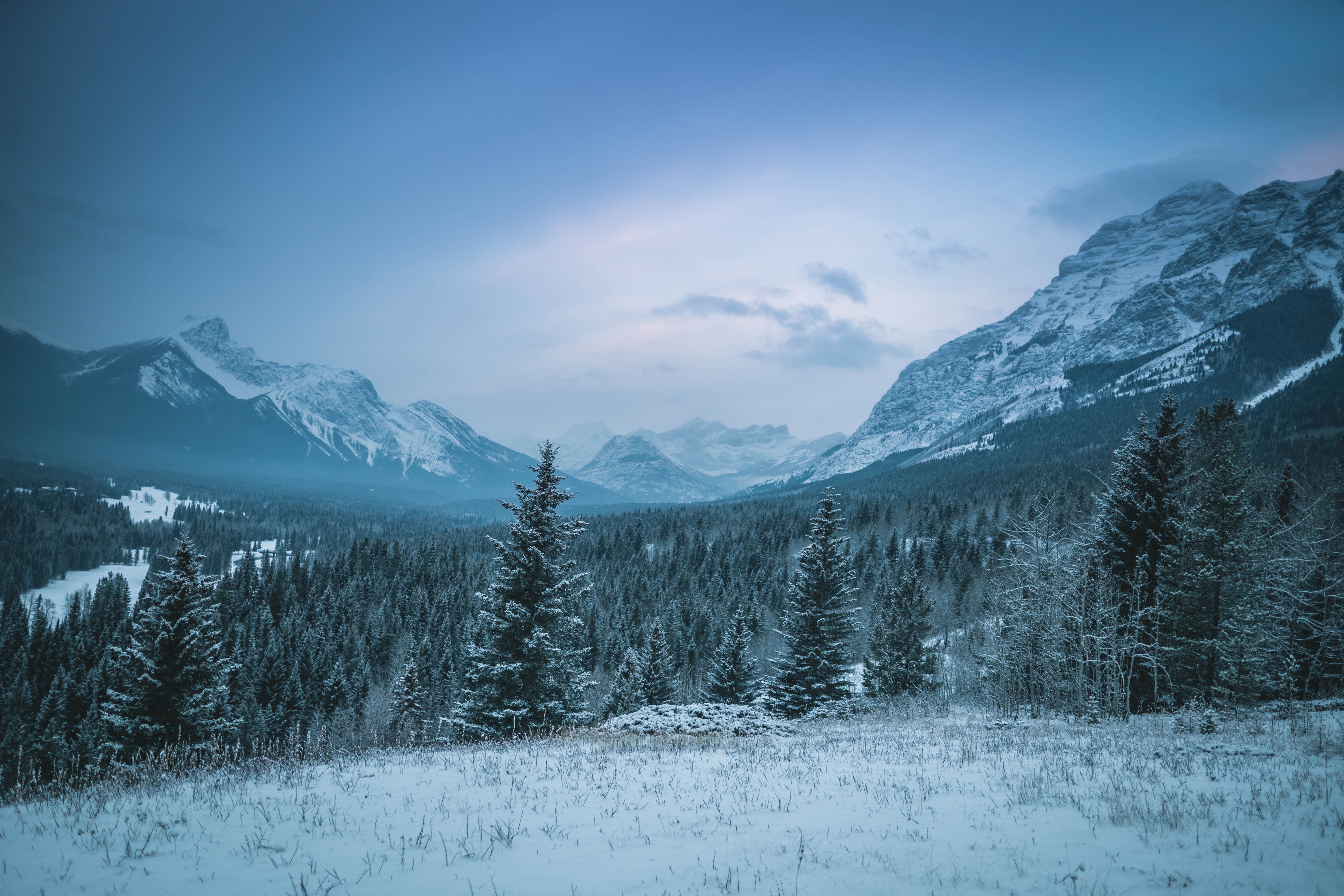 Nature Winter 4k Ultra HD Wallpaper