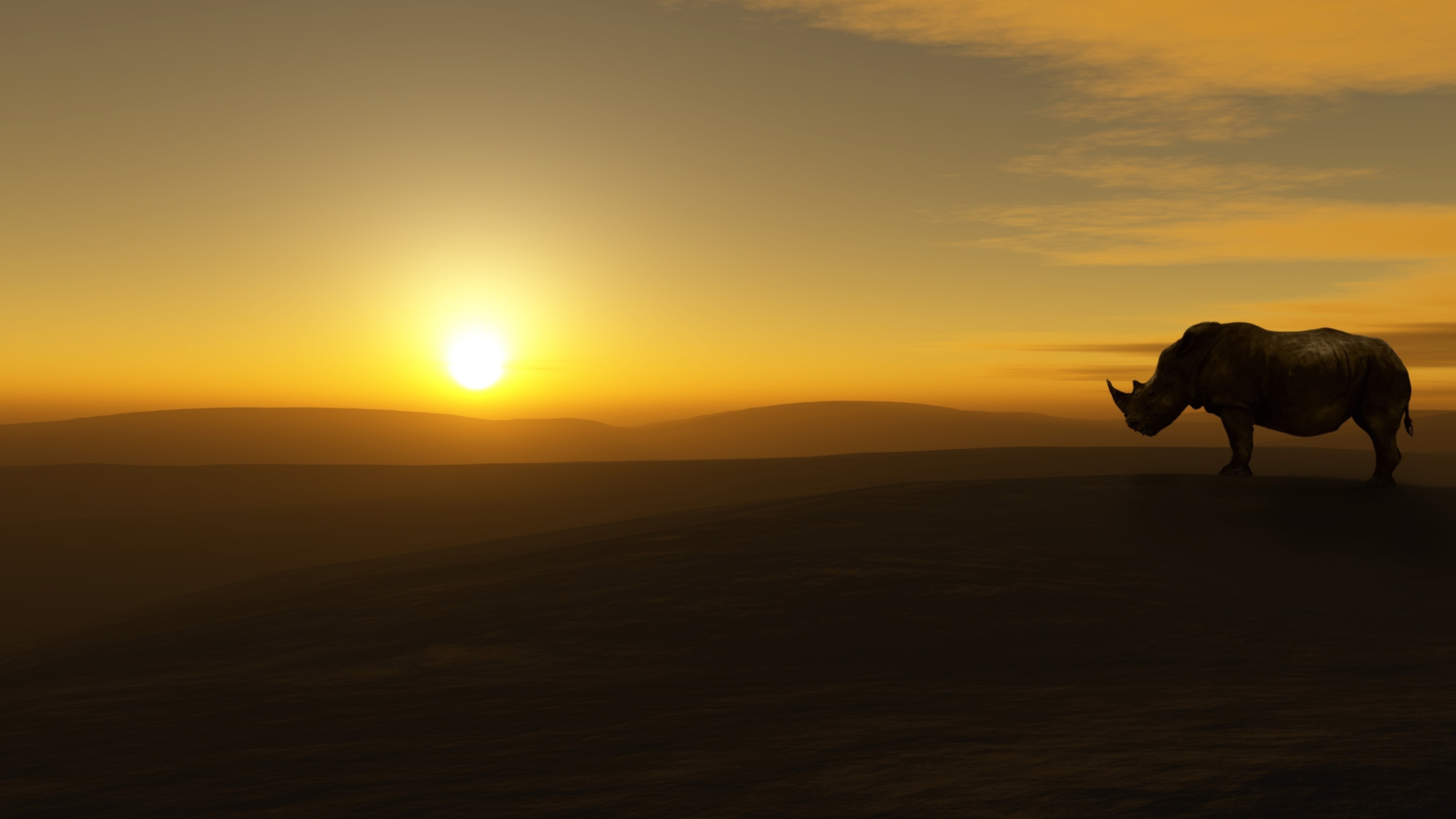 Rhino 4k HD 4k Wallpaper, Image, Background, Photo and Picture