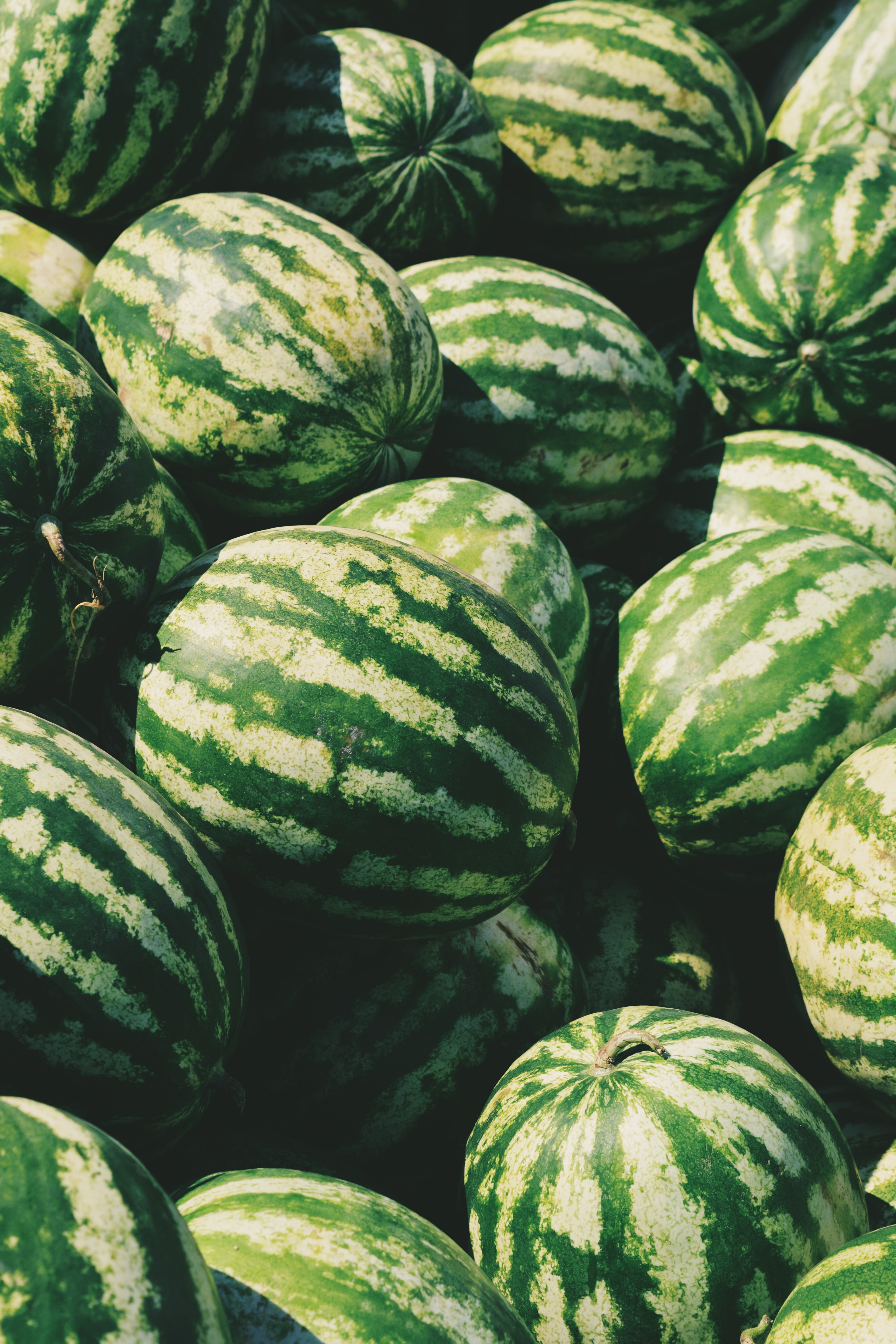 watermelon produce melon and fruit hd, 4k Phone HD Wallpaper