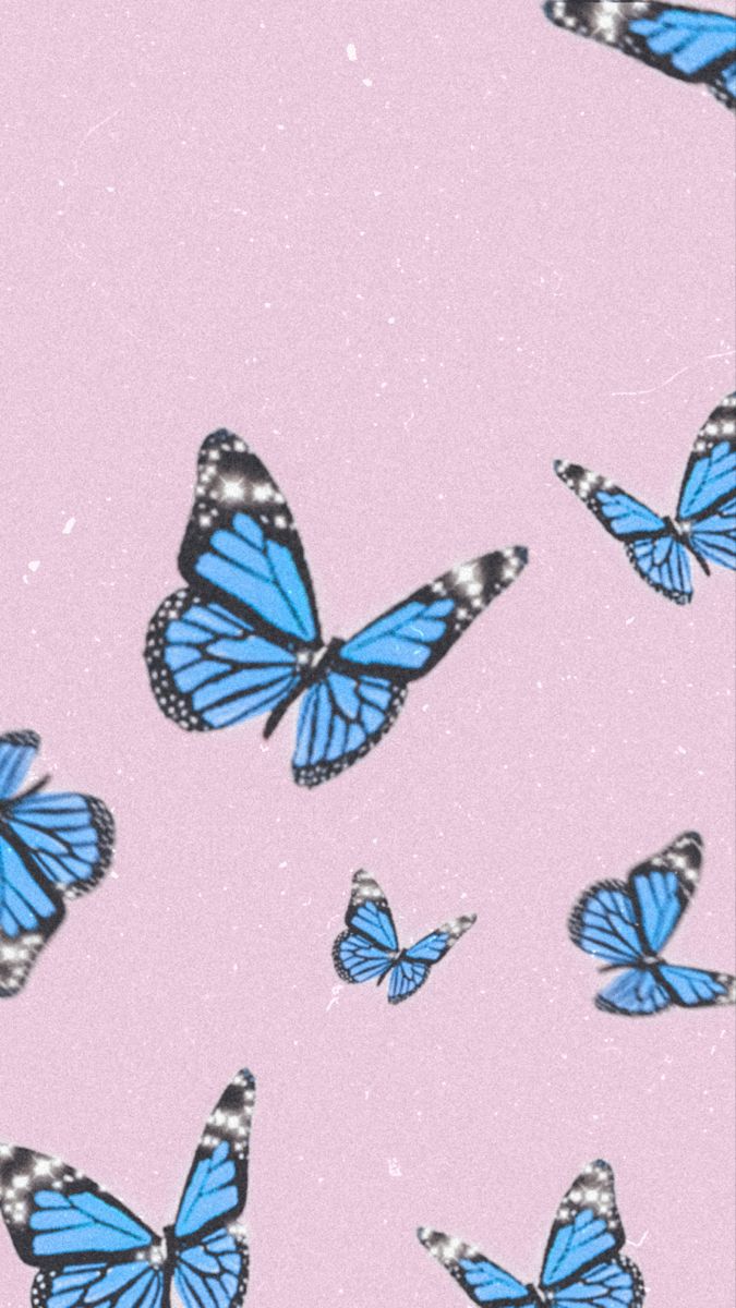 blue butterfly wallpaper