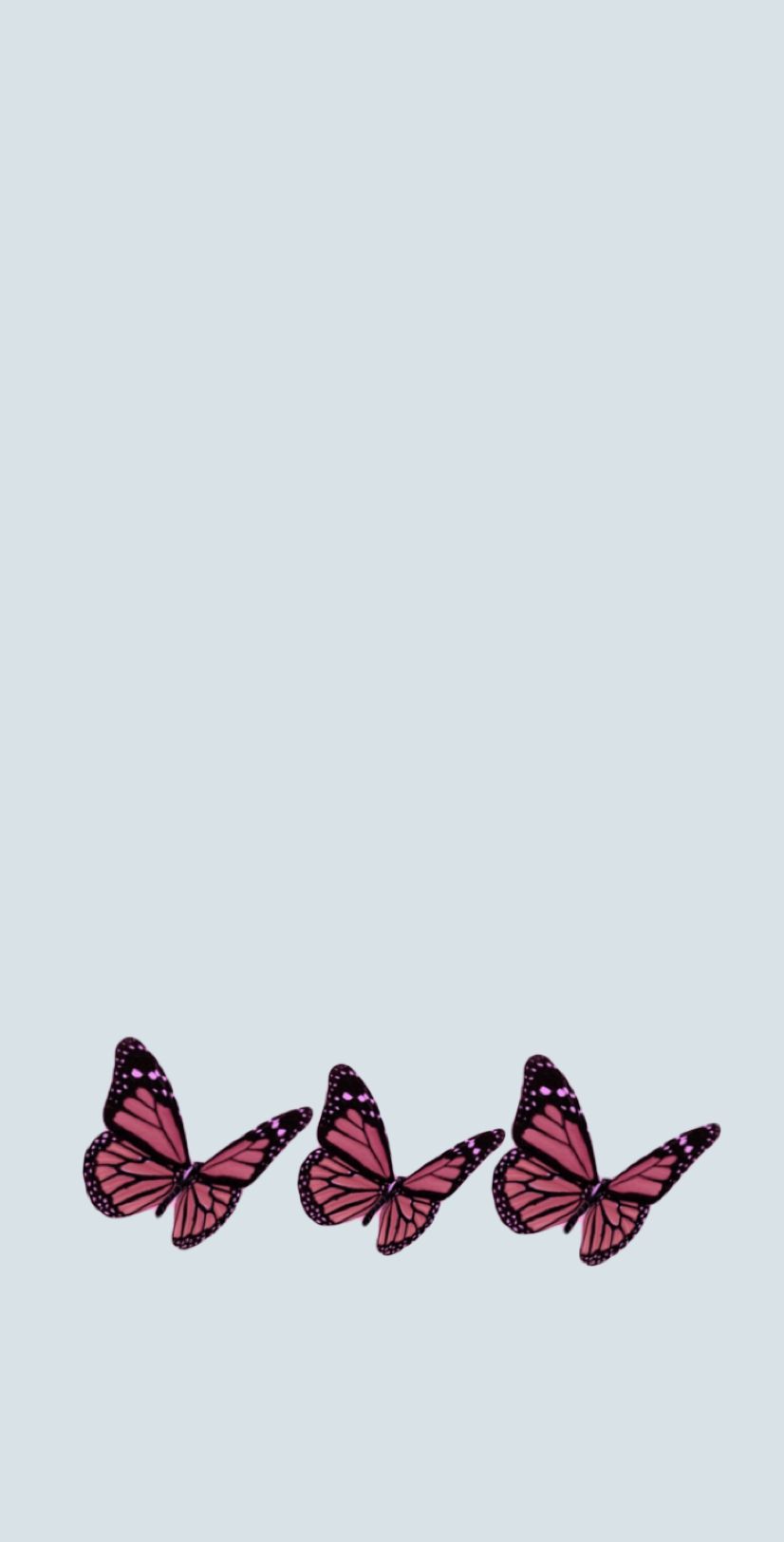 Blue and Pink Butterfly Wallpaper