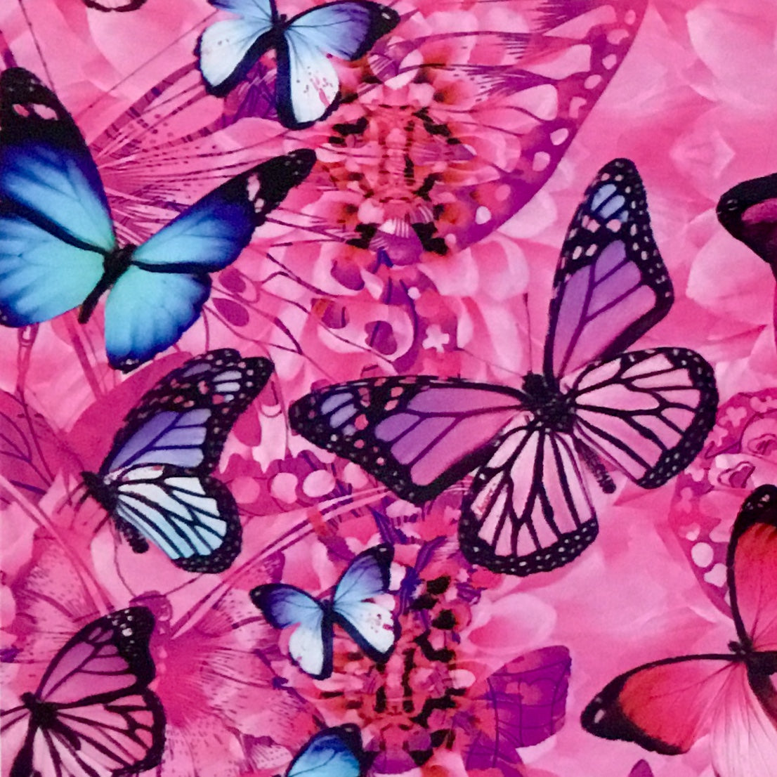 PINK BLUE BUTTERFLIES HYDROGRAPHIC FILM