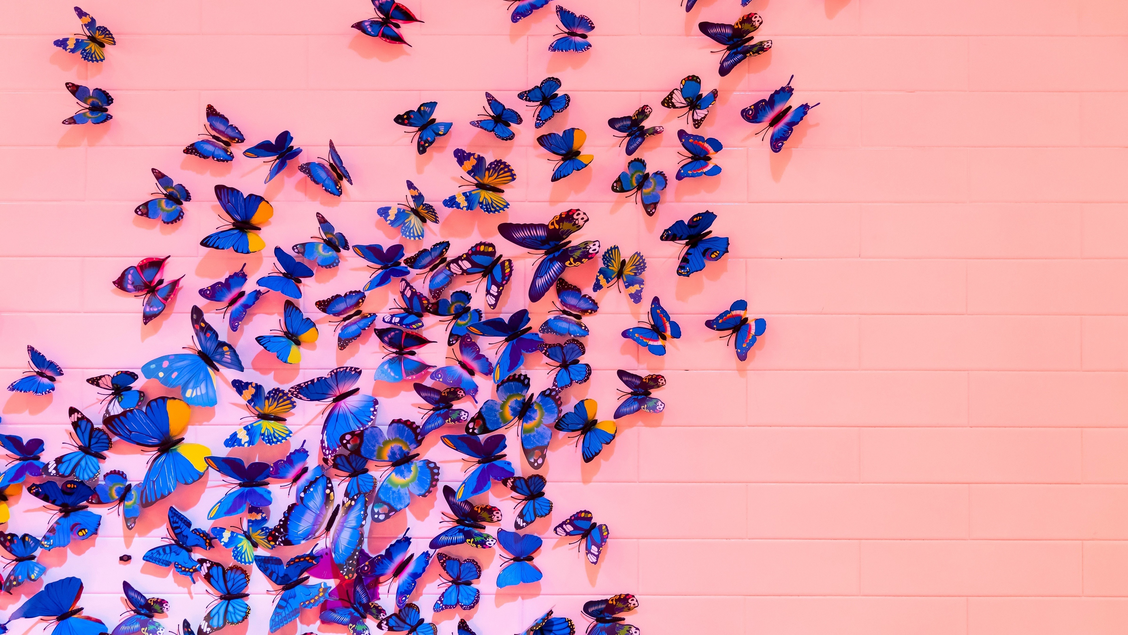 Blue Butterflies