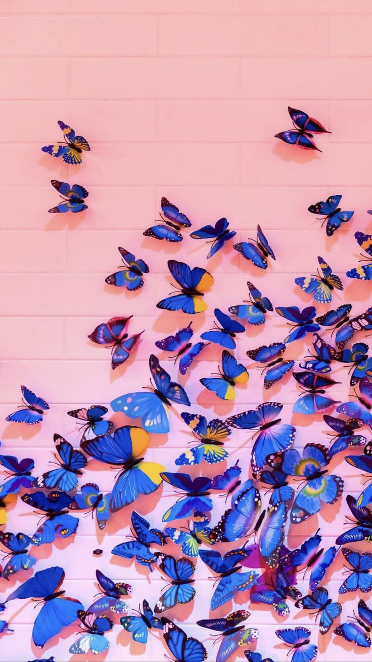 Butterfly wallpaper, Blue