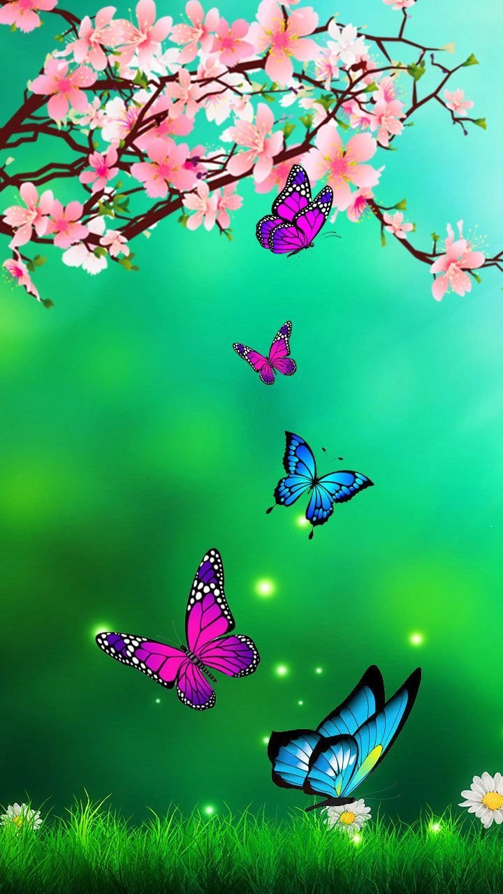 Pink and blue butterfly Wallpaper