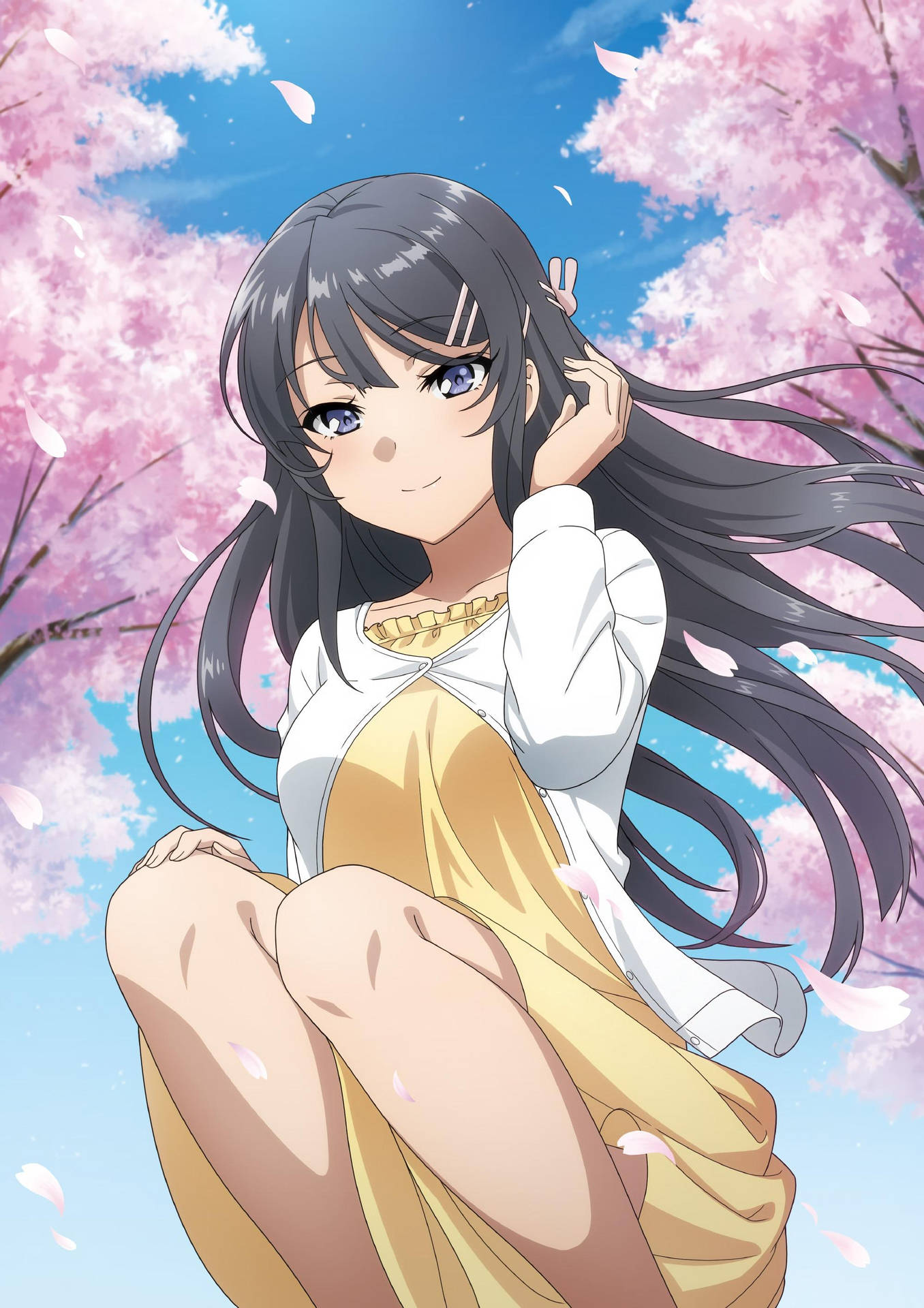Download Rascal Does Not Dream Of Bunny Girl Senpai Cherry Blossom Wallpaper