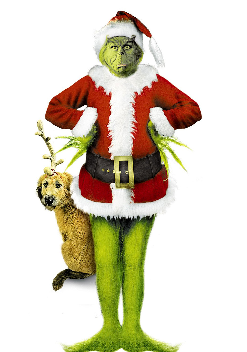 How The Grinch Stole Christmas Wallpaper, Phone Wallpaper, PFP, Gifs, and More!