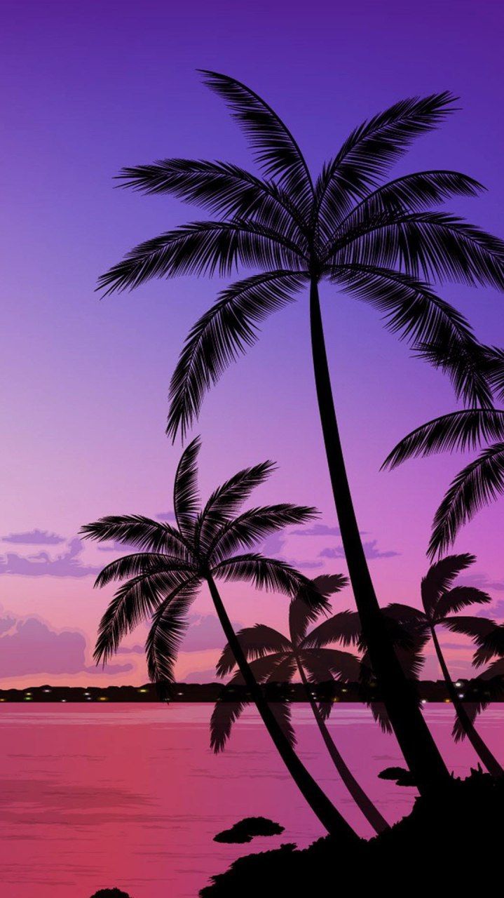 Palm Trees Beach iPhone Wallpaper